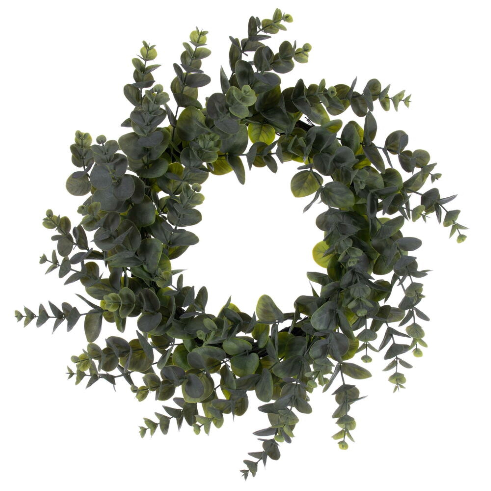 24″ Green Spiral Eucalyptus Wreath