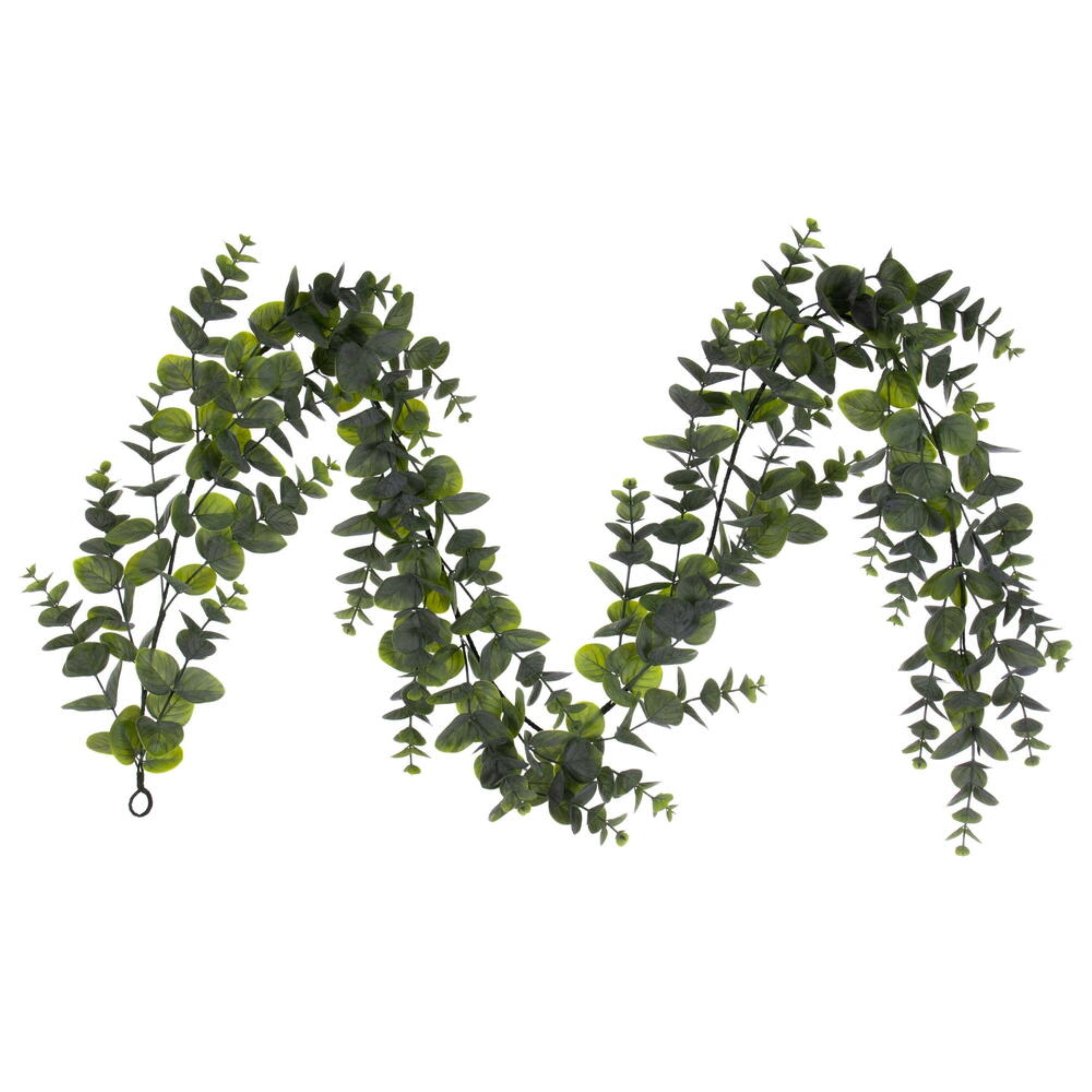 6' Green Spiral Eucalyptus Garland