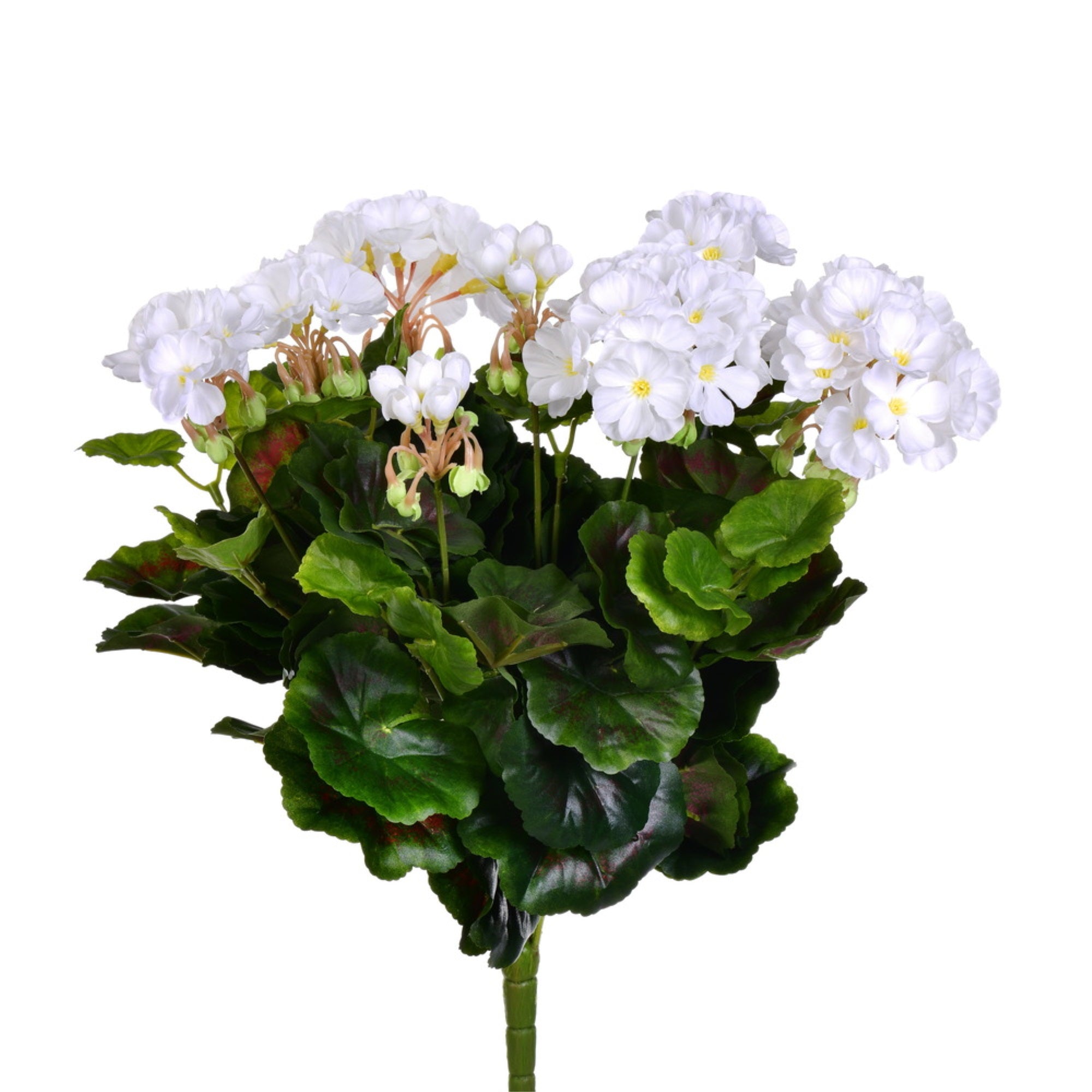 17.5” White Geranium Bush