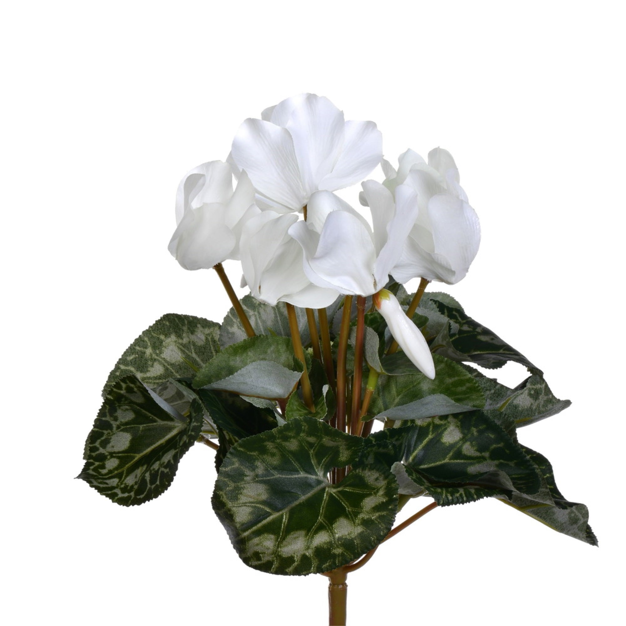 11” White Cyclamen Bush