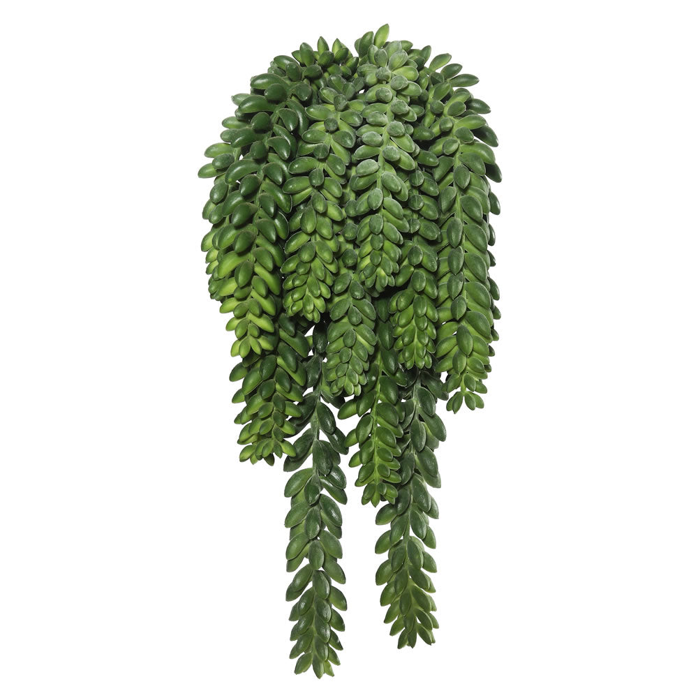 Vickerman 13″ Donkey's Tail Bush X 14 W/1311 Bean - FL171401