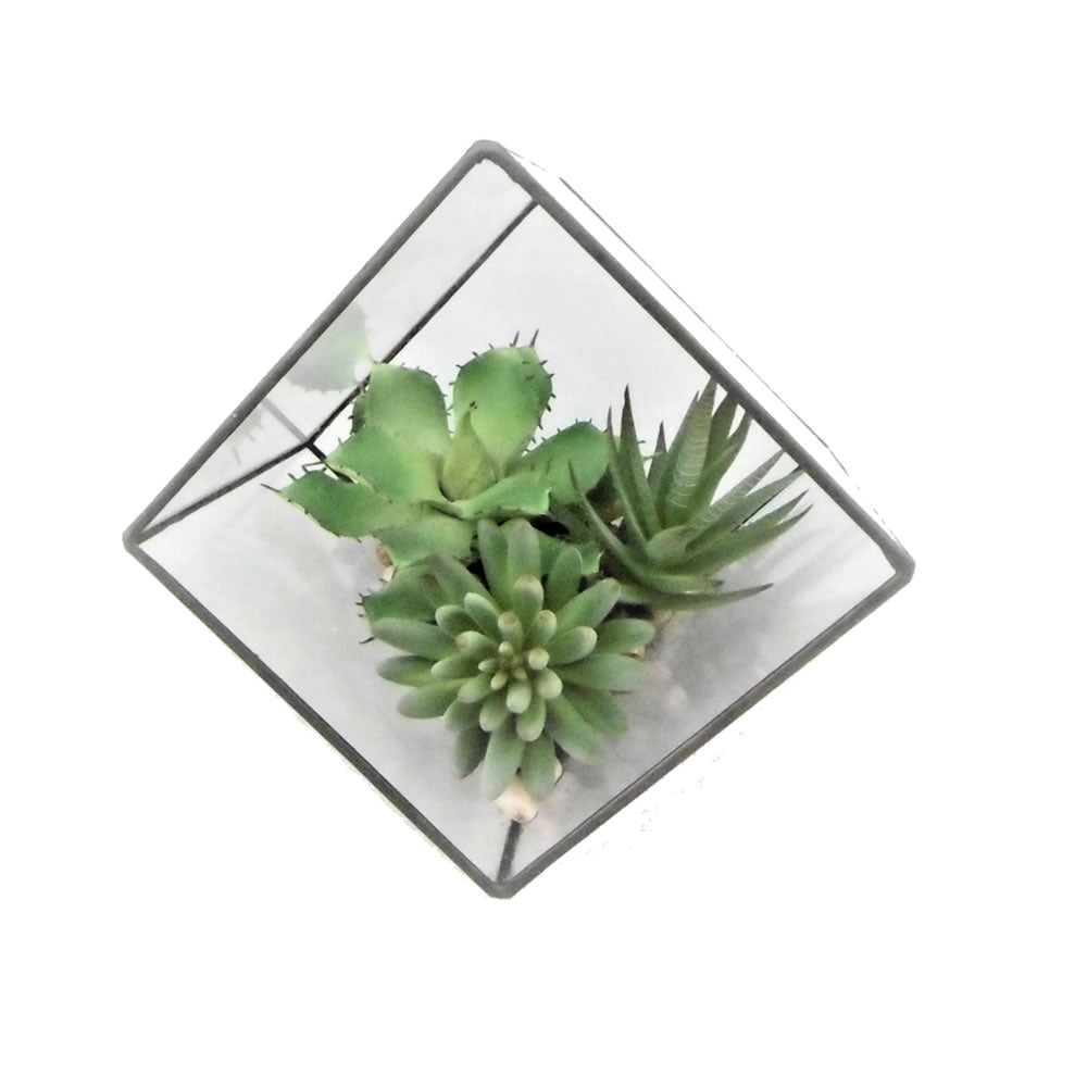 Vickerman 7.5” Green Succulents in Geo Terrarium - FM181001