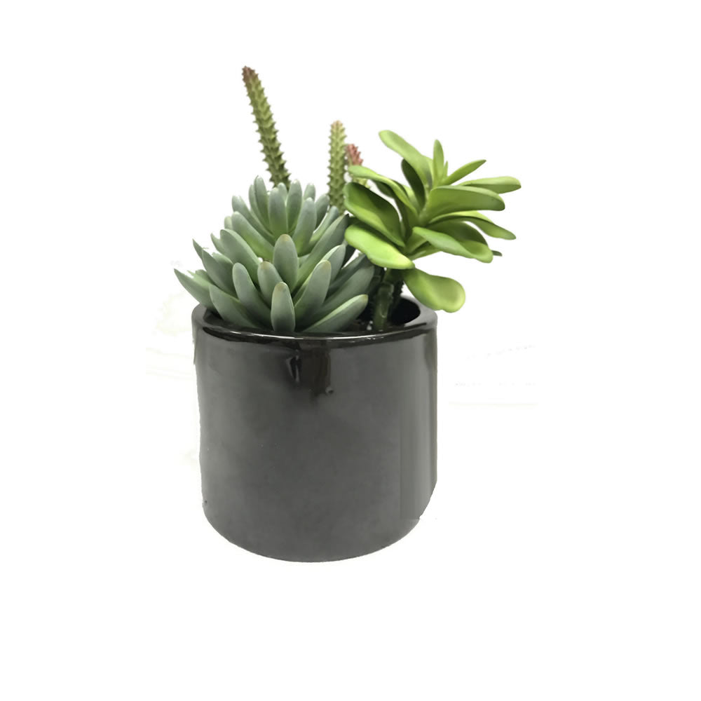 Vickerman 8” Green Succulents in Cement Pot - FM181301