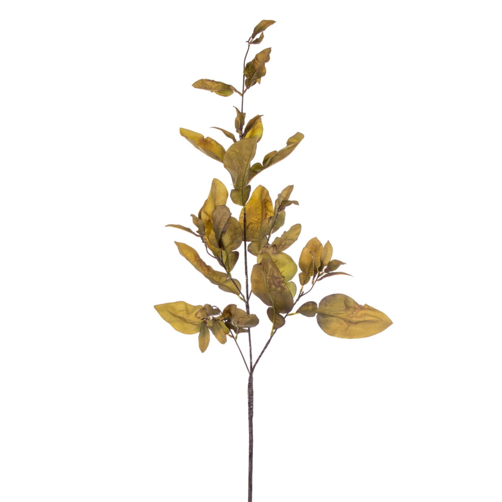 Vickerman 44.5” Green Artificial Dried Pomelo Leaves Spray 2 per bag.