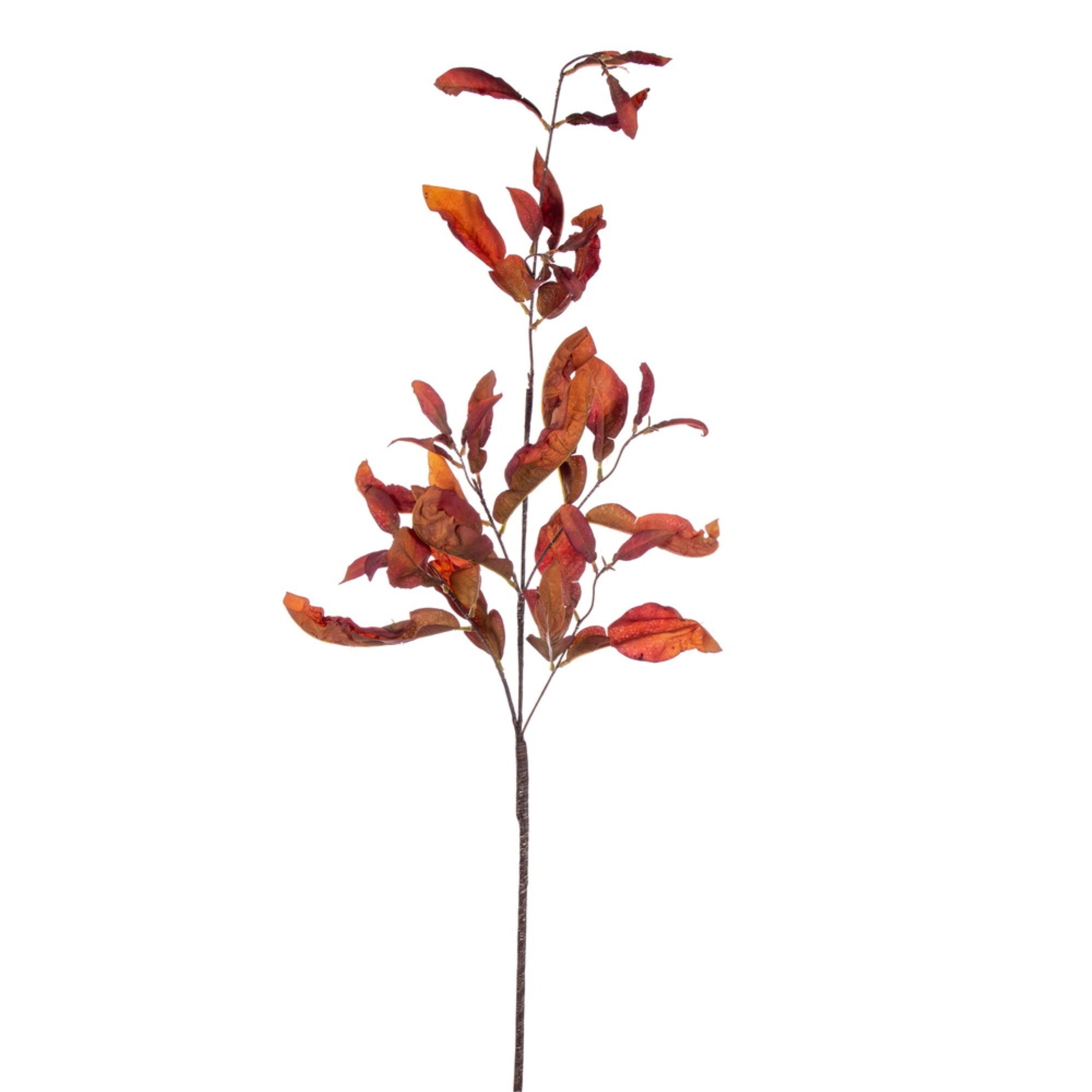 Vickerman 44.5” Orange Artificial Dried Pomelo Leaves Spray 2 per bag.
