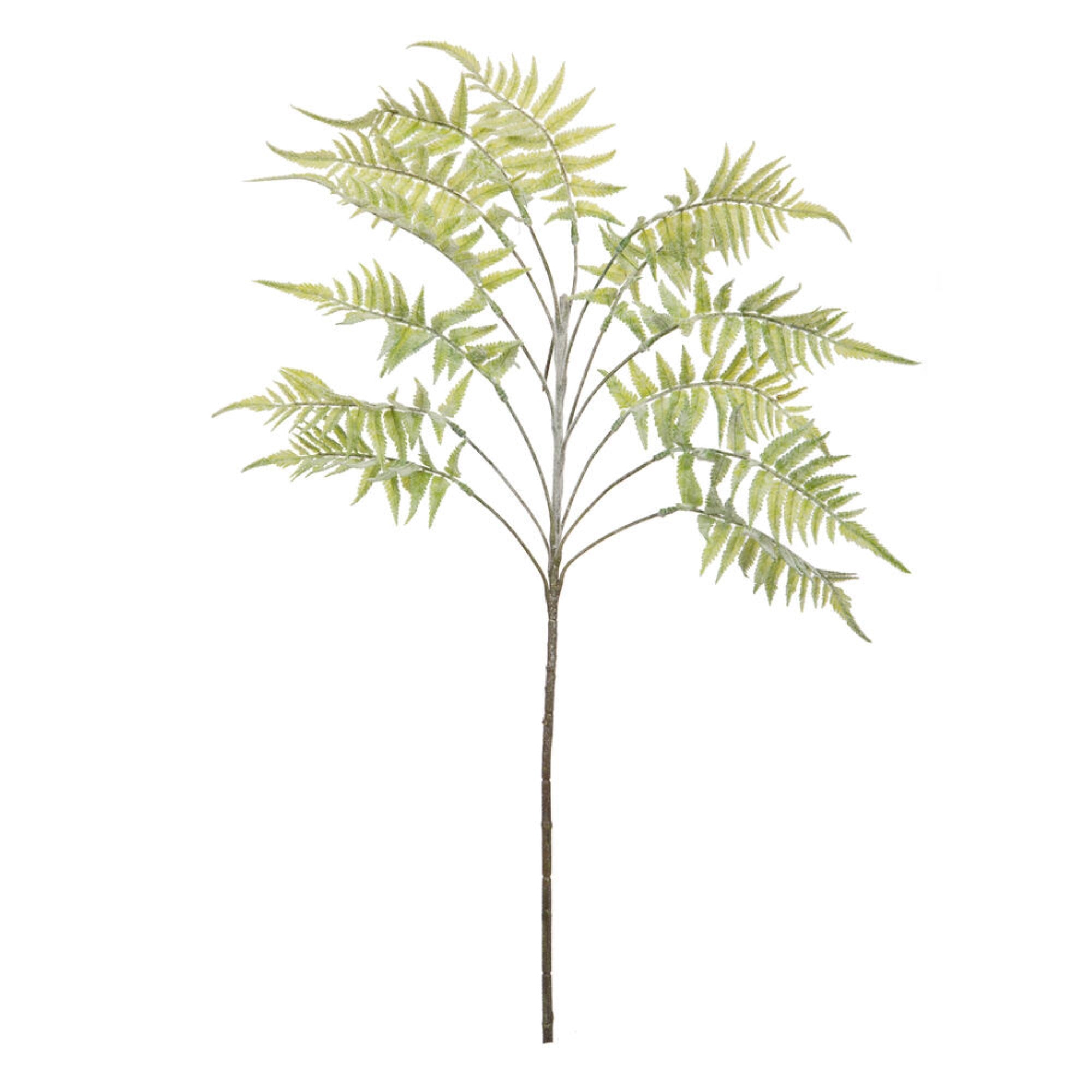 33.5” Light Green Jungle Fern Spray 2/bg