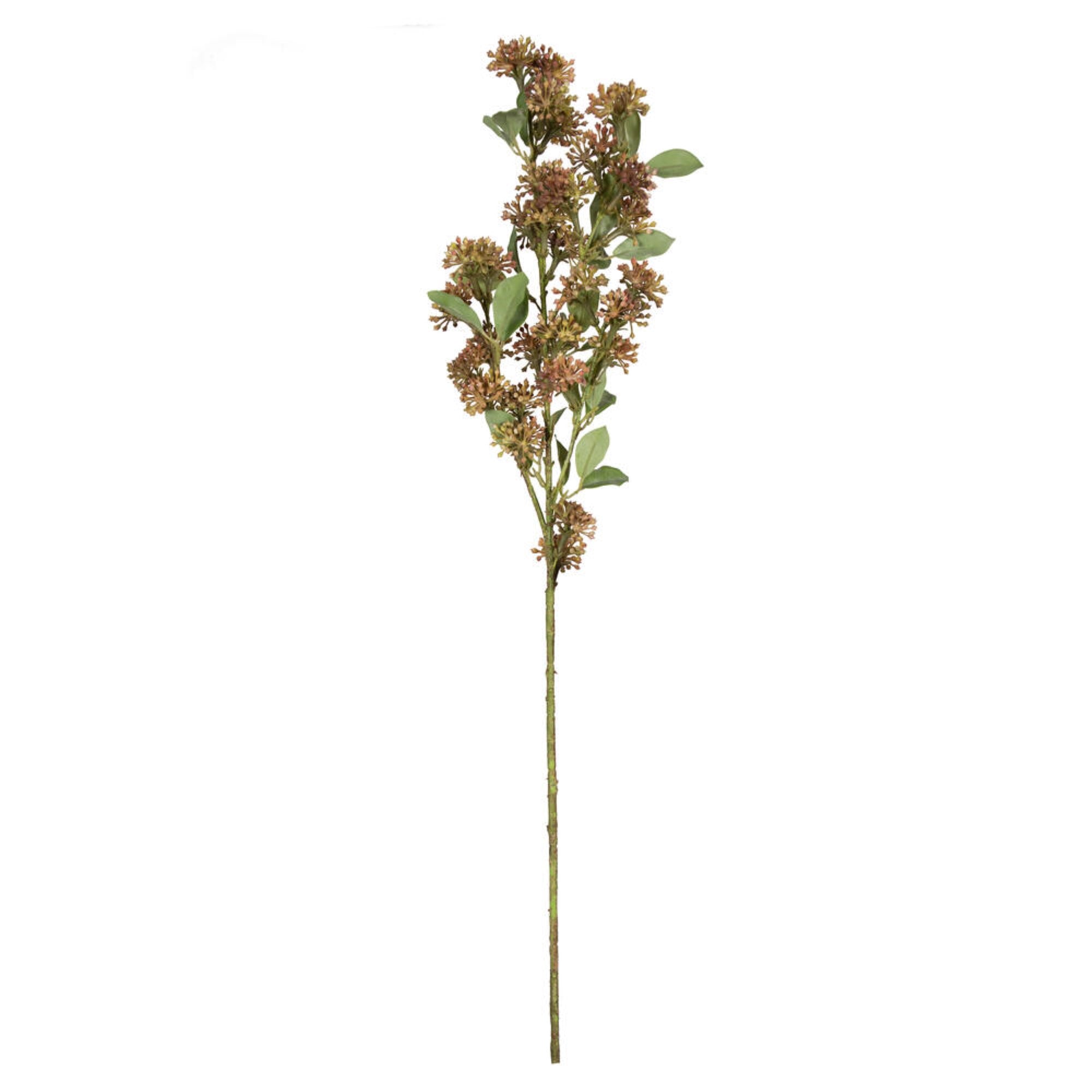 31” Penny Brown Wild Berry Spray 2/bag