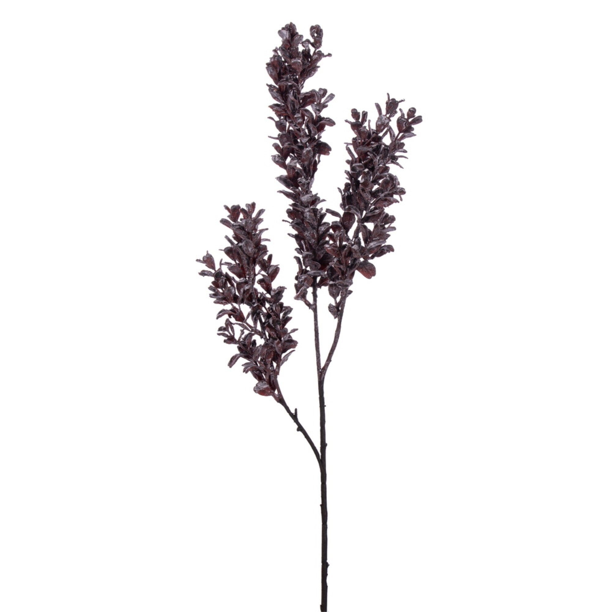 Vickerman 26” Brown Artificial Dry Boxwood Spray 2 per bag.
