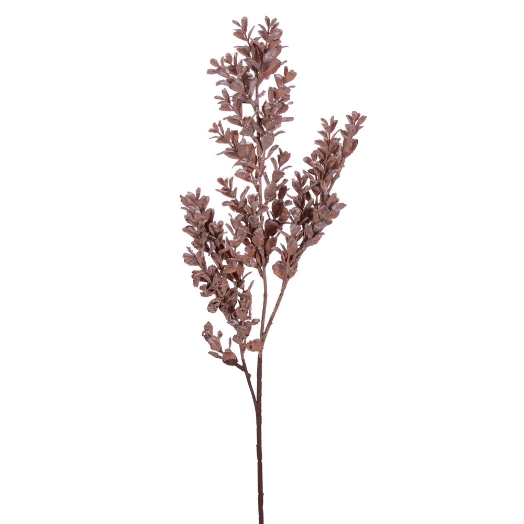 Vickerman 26” Light Brown Artificial Dry Boxwood Spray 2 per bag.