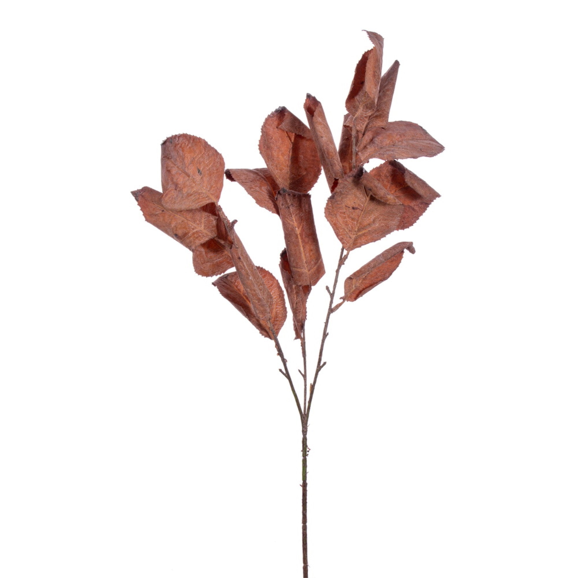Vickerman 28” Dark Brown Artificial Dried Leaf Spray 3 per bag.