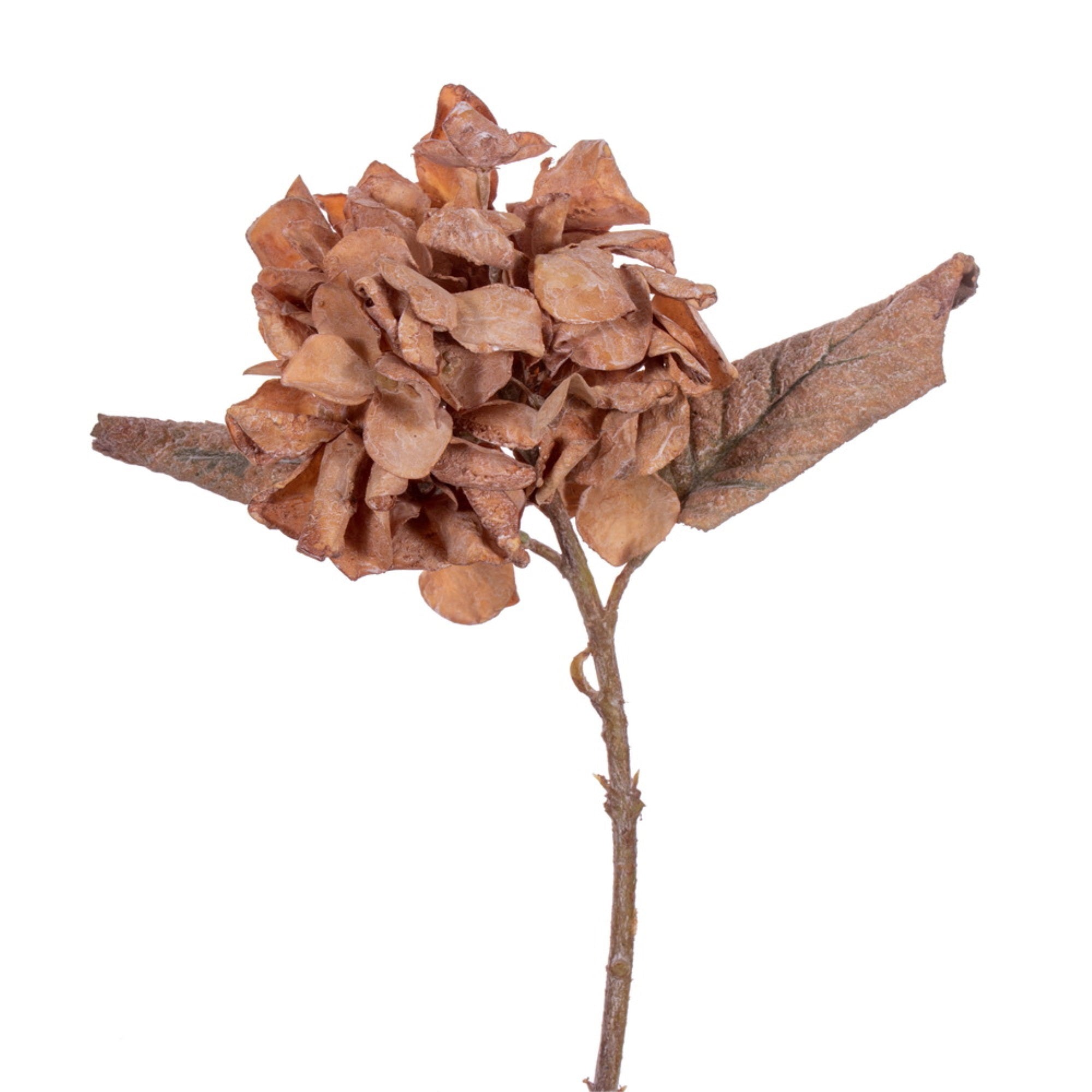 Vickerman 13” Tan Artificial Dried Hydrangea Spray 6 per bag.