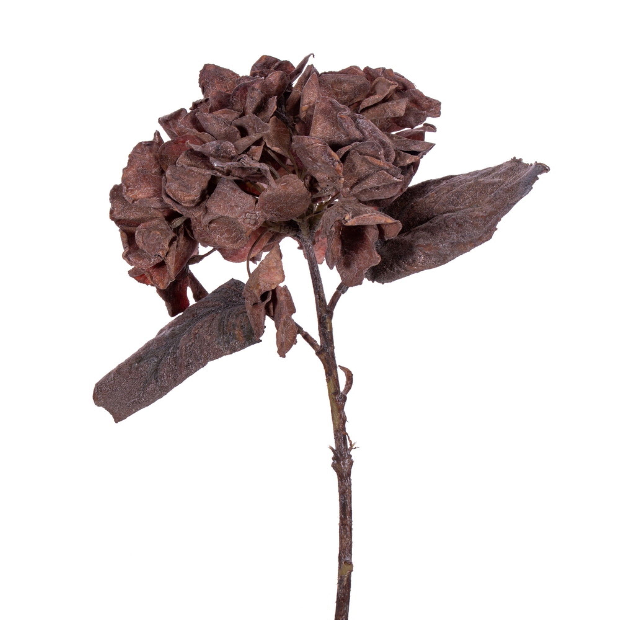 Vickerman 13” Dark Brown Artificial Dried Hydrangea Spray 6 per bag.