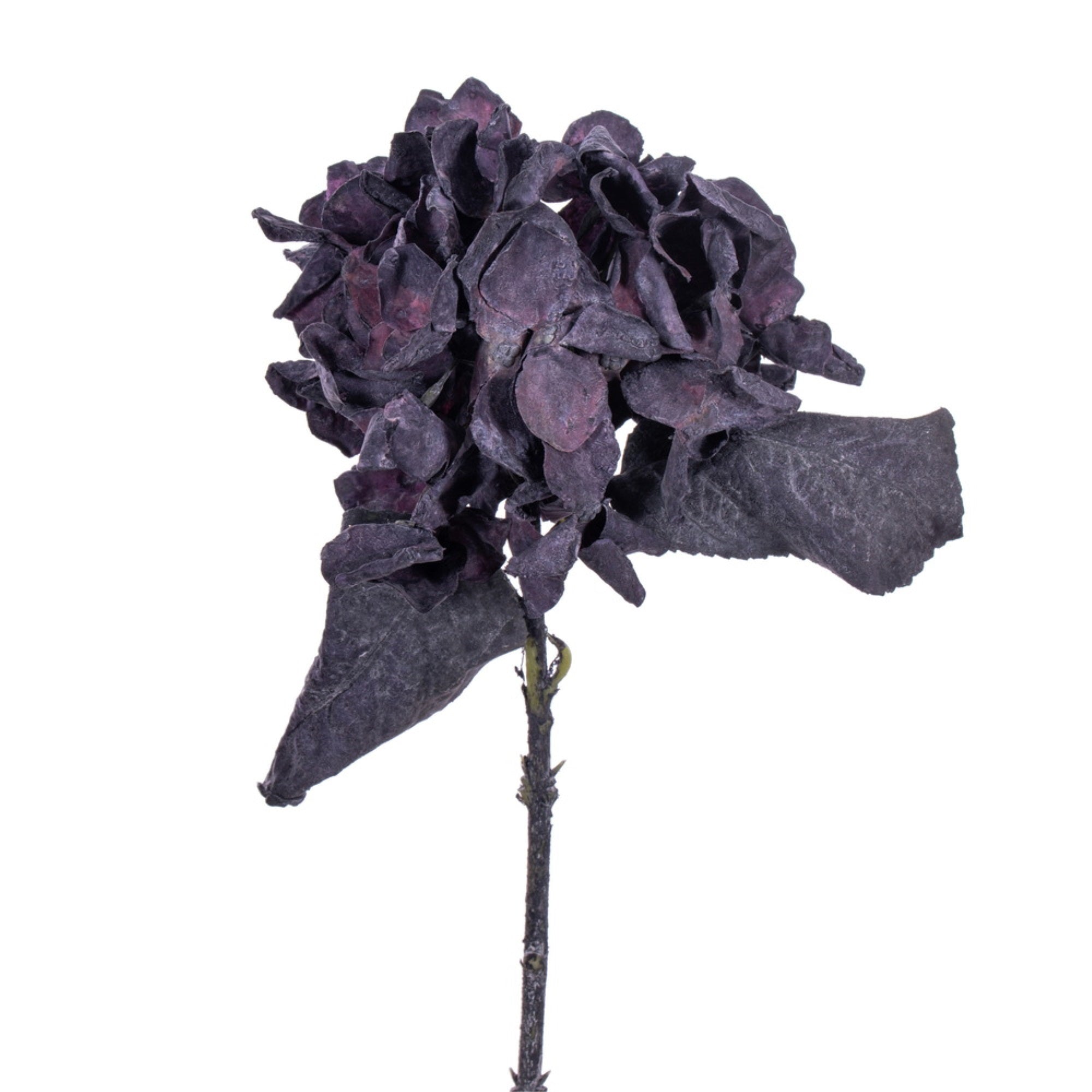 Vickerman 13” Plum Artificial Dried Hydrangea Spray 6 per bag.