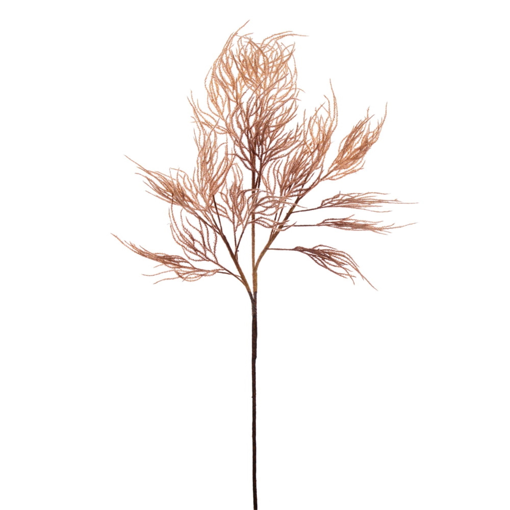 Vickerman 33” Light Brown Reed Spray Bundle 2 per bundle.