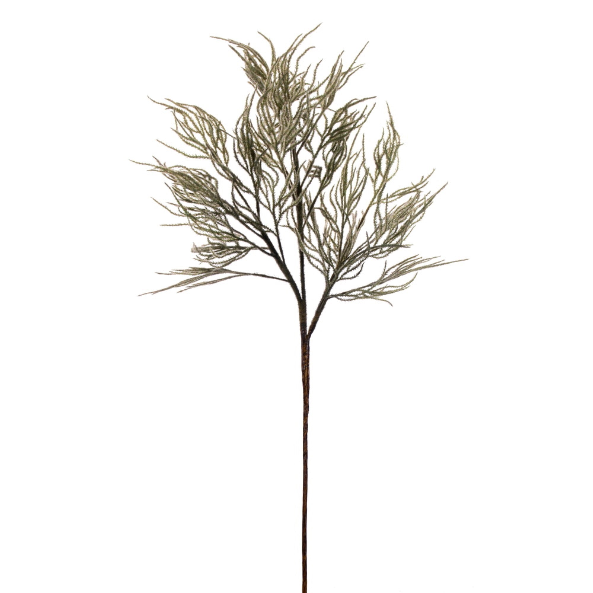 Vickerman 33” Light Green Reed Spray Bundle 2 per bundle.