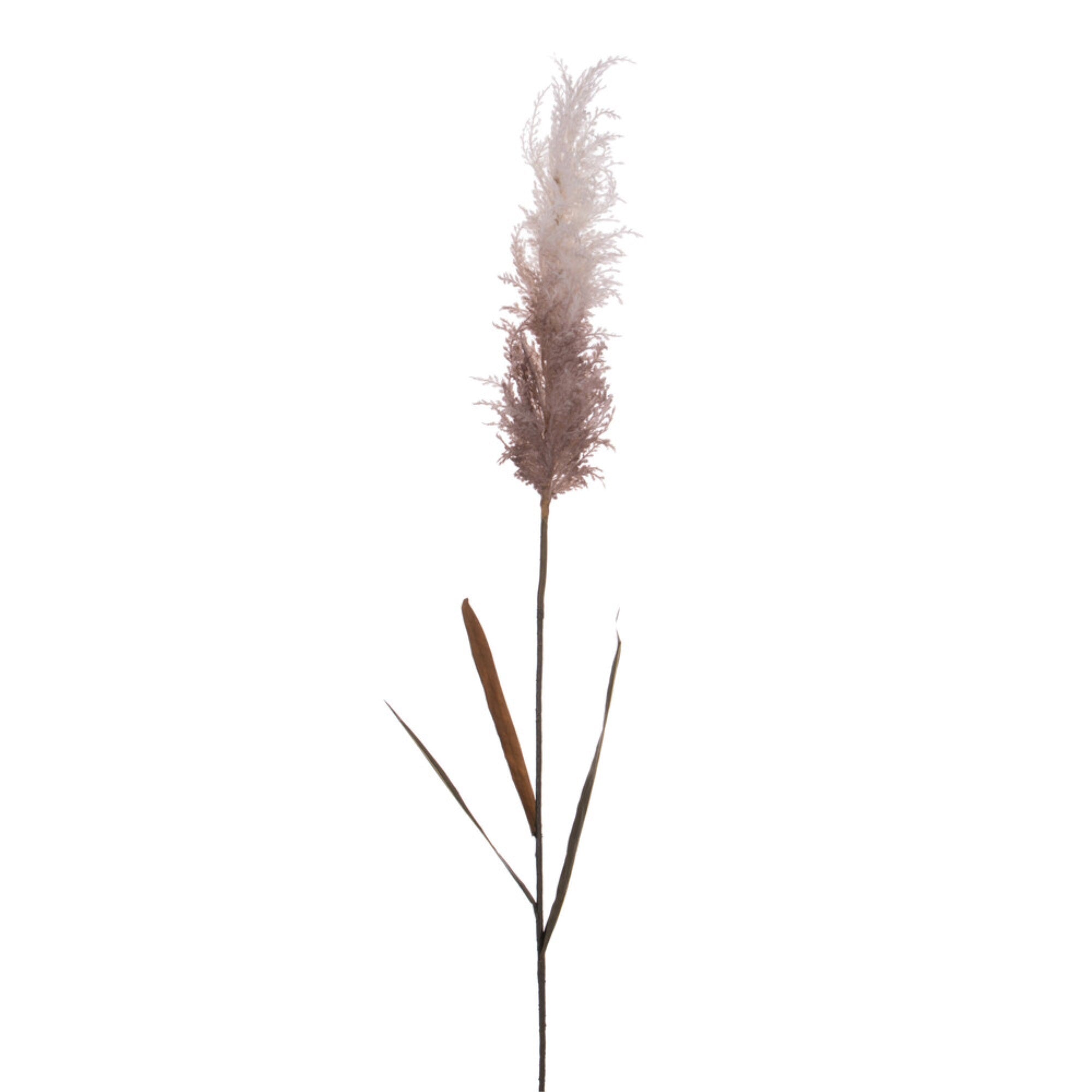 Vickerman 44” Cream Glitter Artificial Reed Spray 2 per bundle.