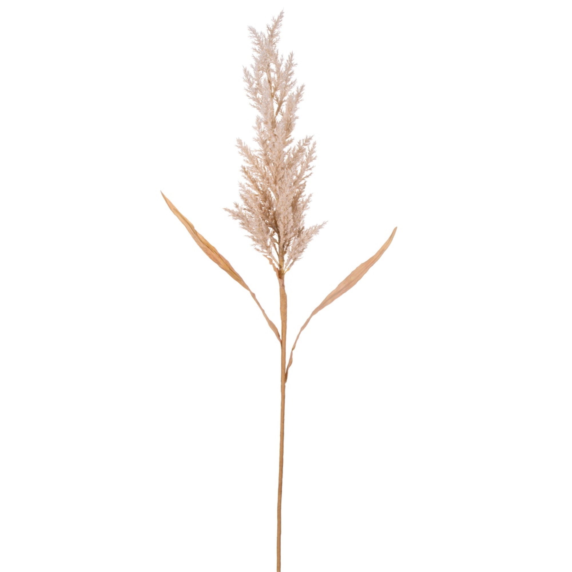 Vickerman 36” Tan Artificial Dried Cluster Reed Spray 3 per bag.