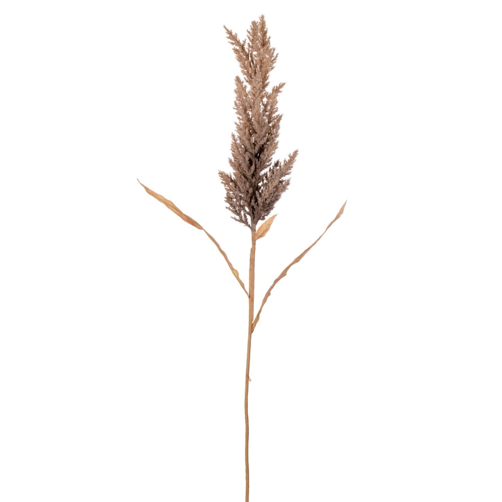 Vickerman 36” Brown Artificial Dried Cluster Reed Spray 3 per bag.