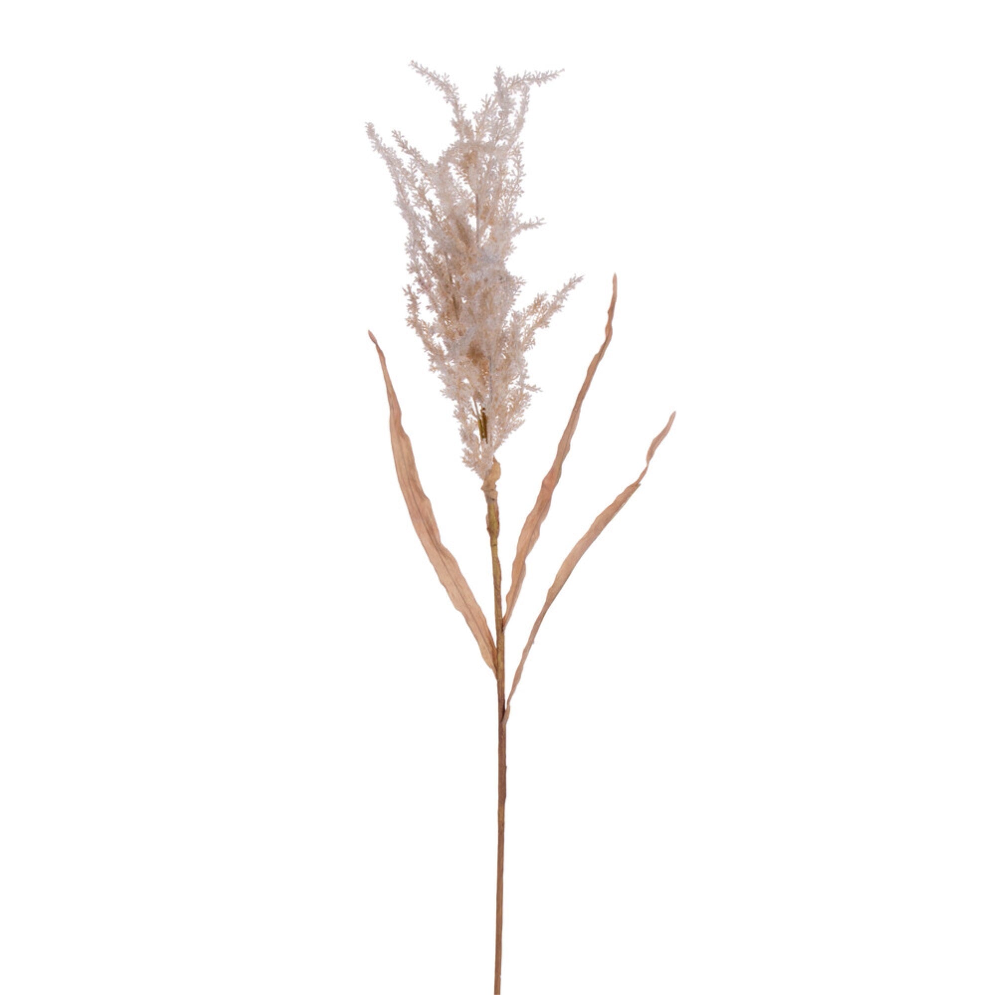 Vickerman 39” Tan Artificial Dried Plum Grass Spray 2 per bag.