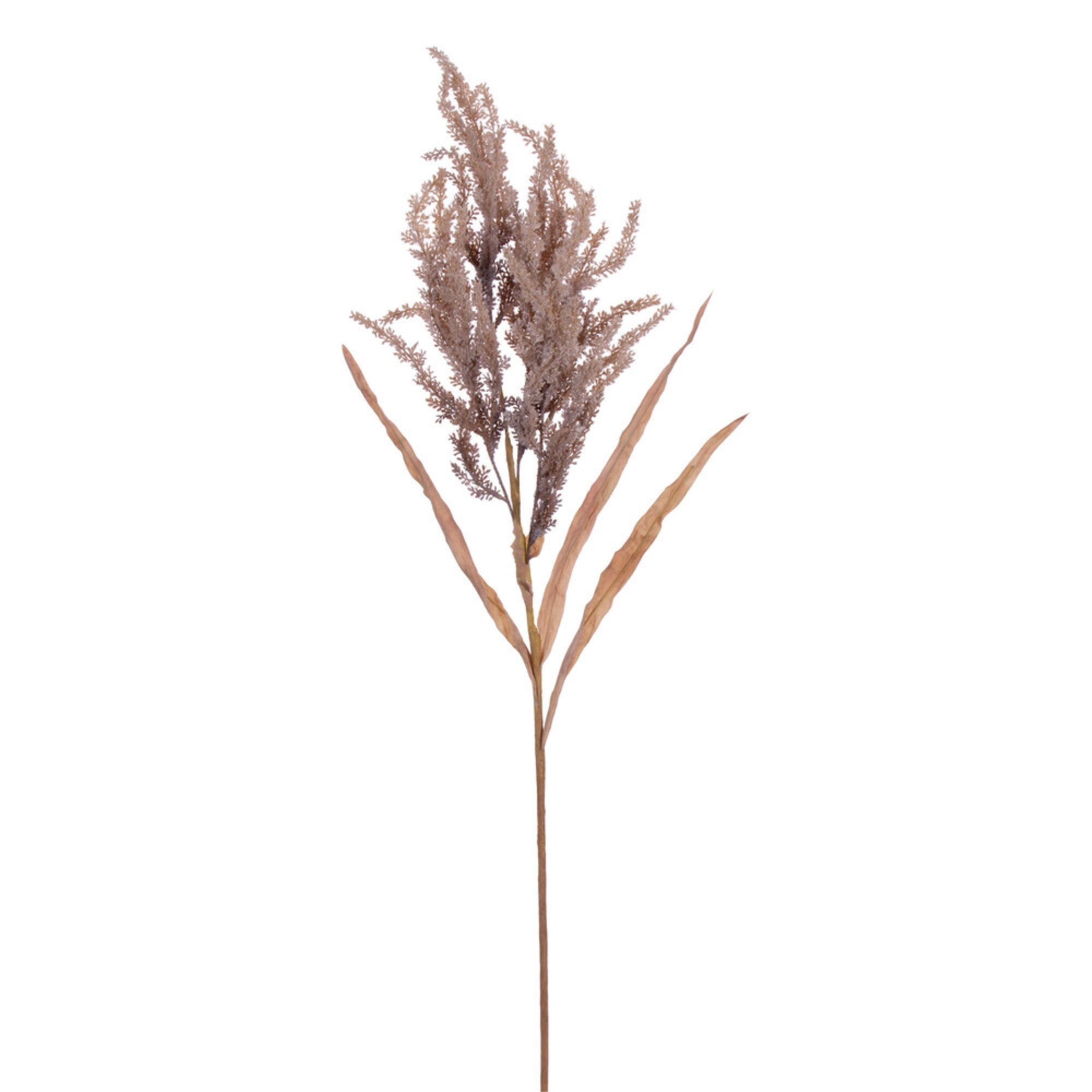 Vickerman 39” Brown Artificial Dried Plum Grass Spray 2 per bag.