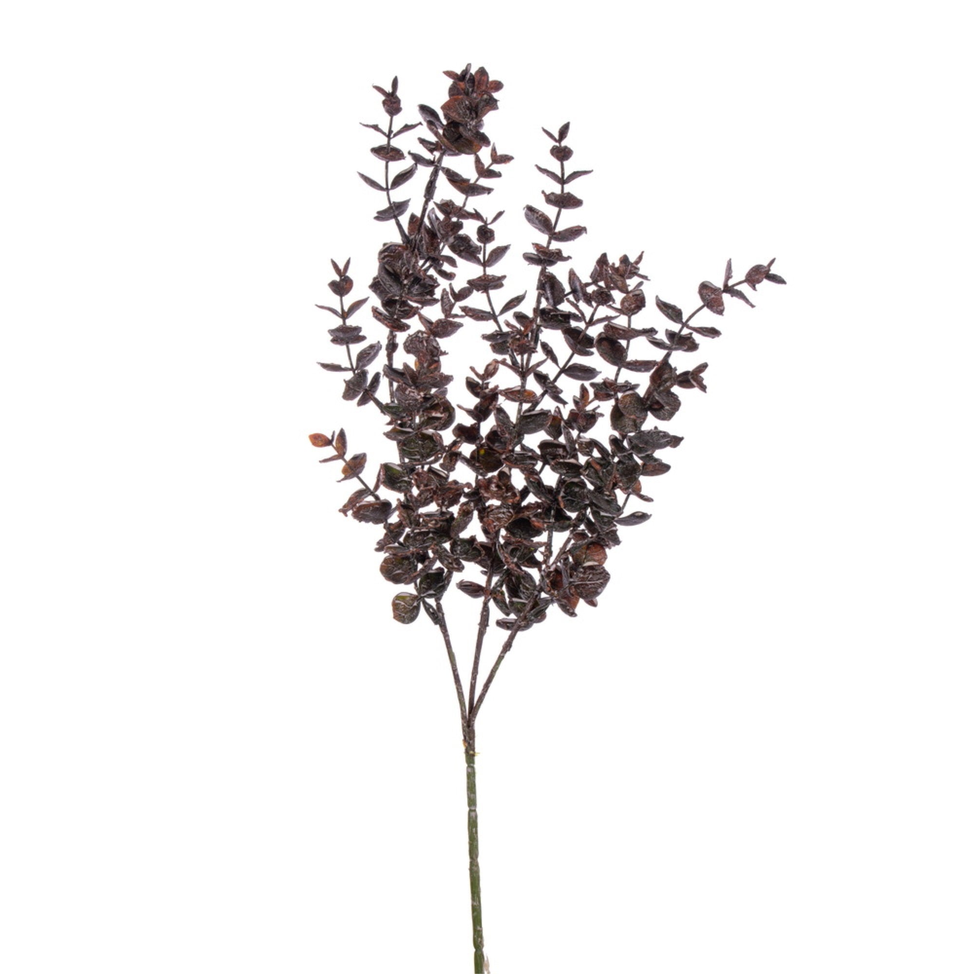 Vickerman 26.5” Brown Eucalyptus Spray 2 per bundle.