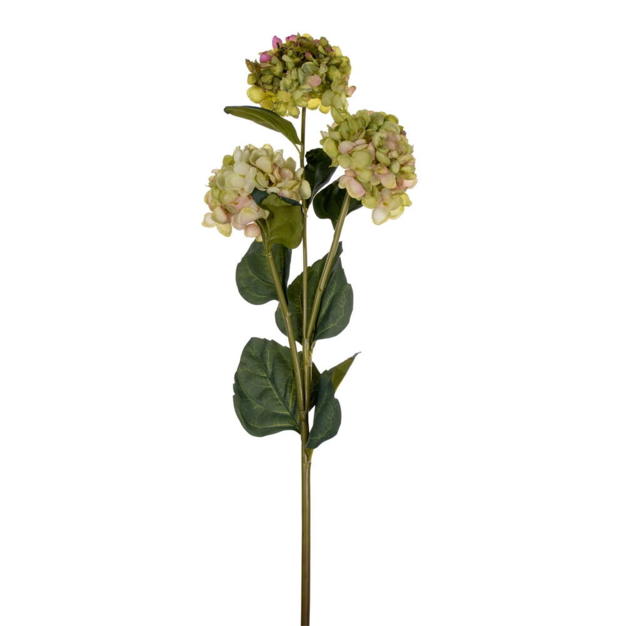 Vickerman 33” Light Green Artificial Hydrangea Spray with Three Flower Heads 2 per bag.