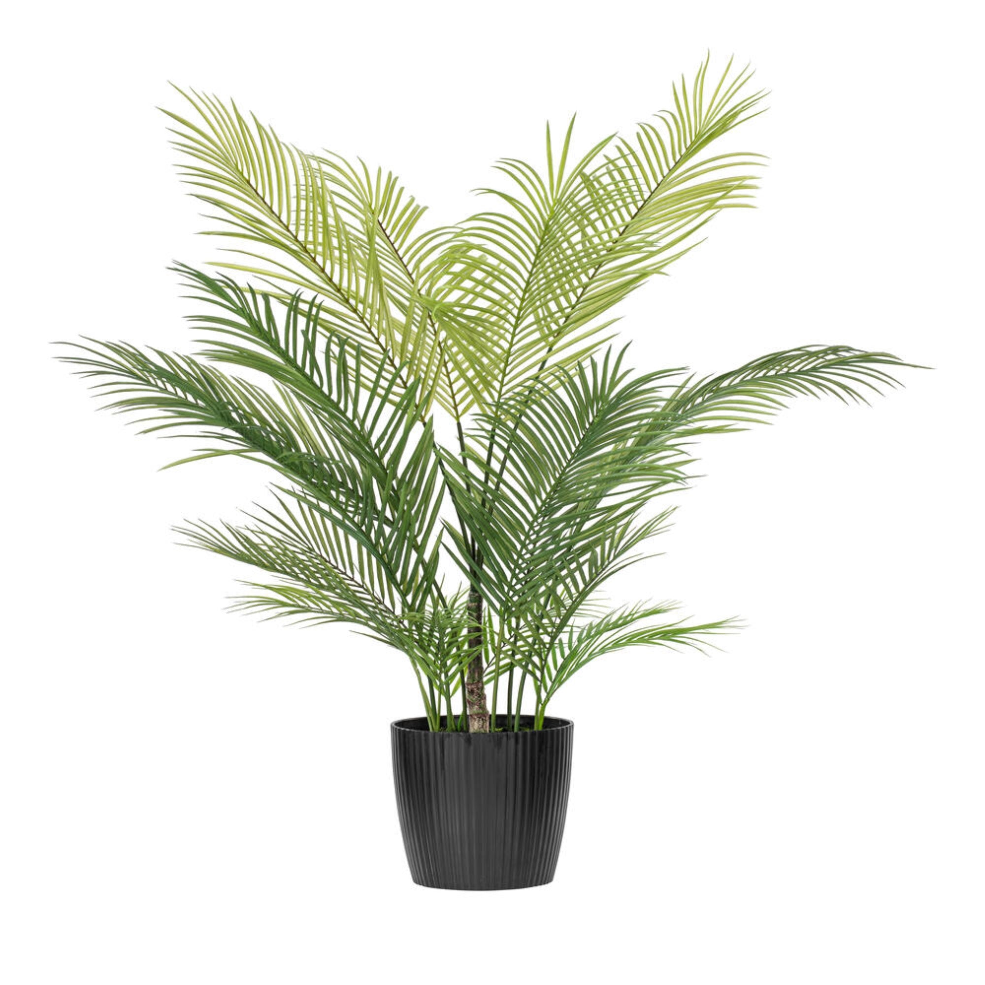 50″ Green Areca Palm Plant