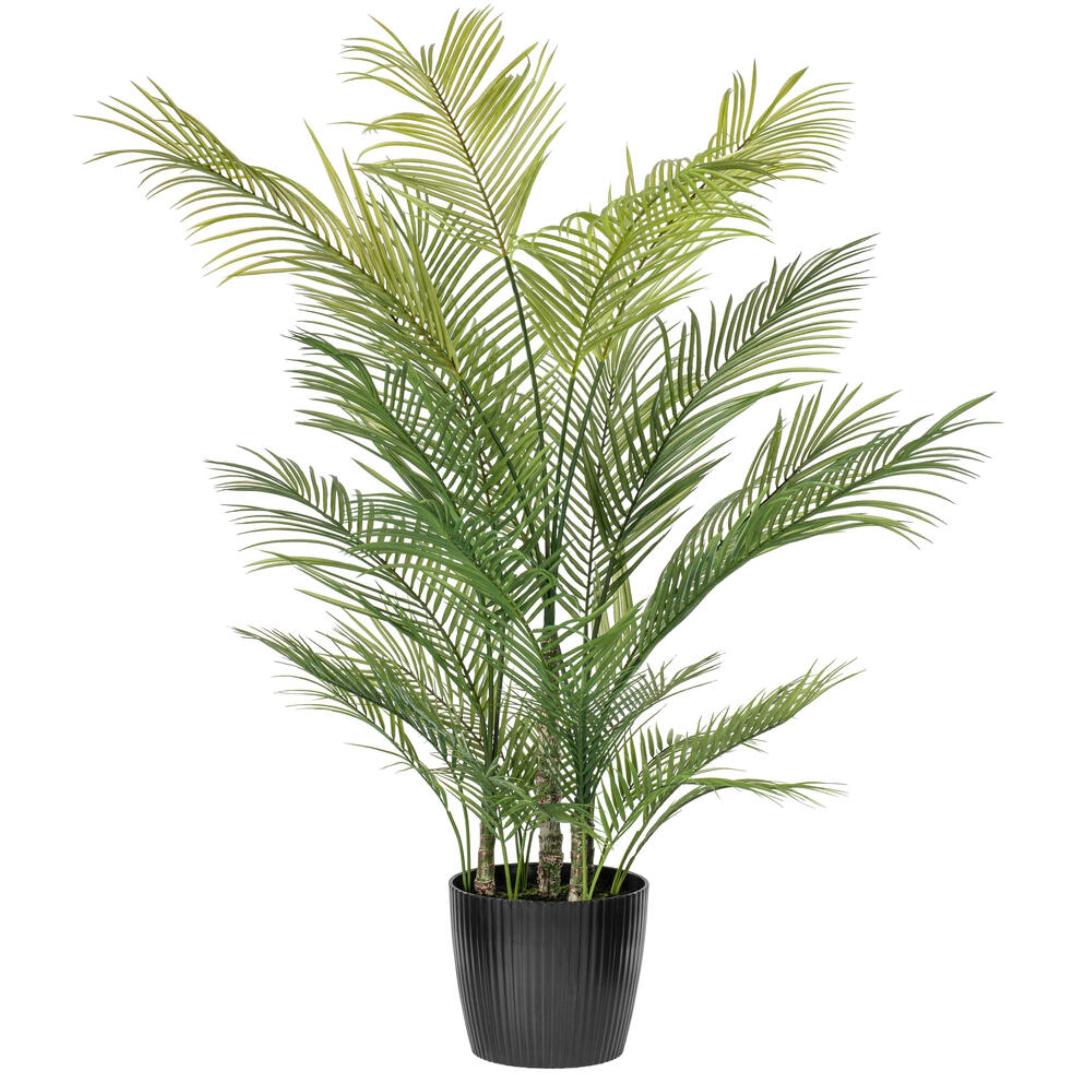 60″ Green Areca Palm Plant