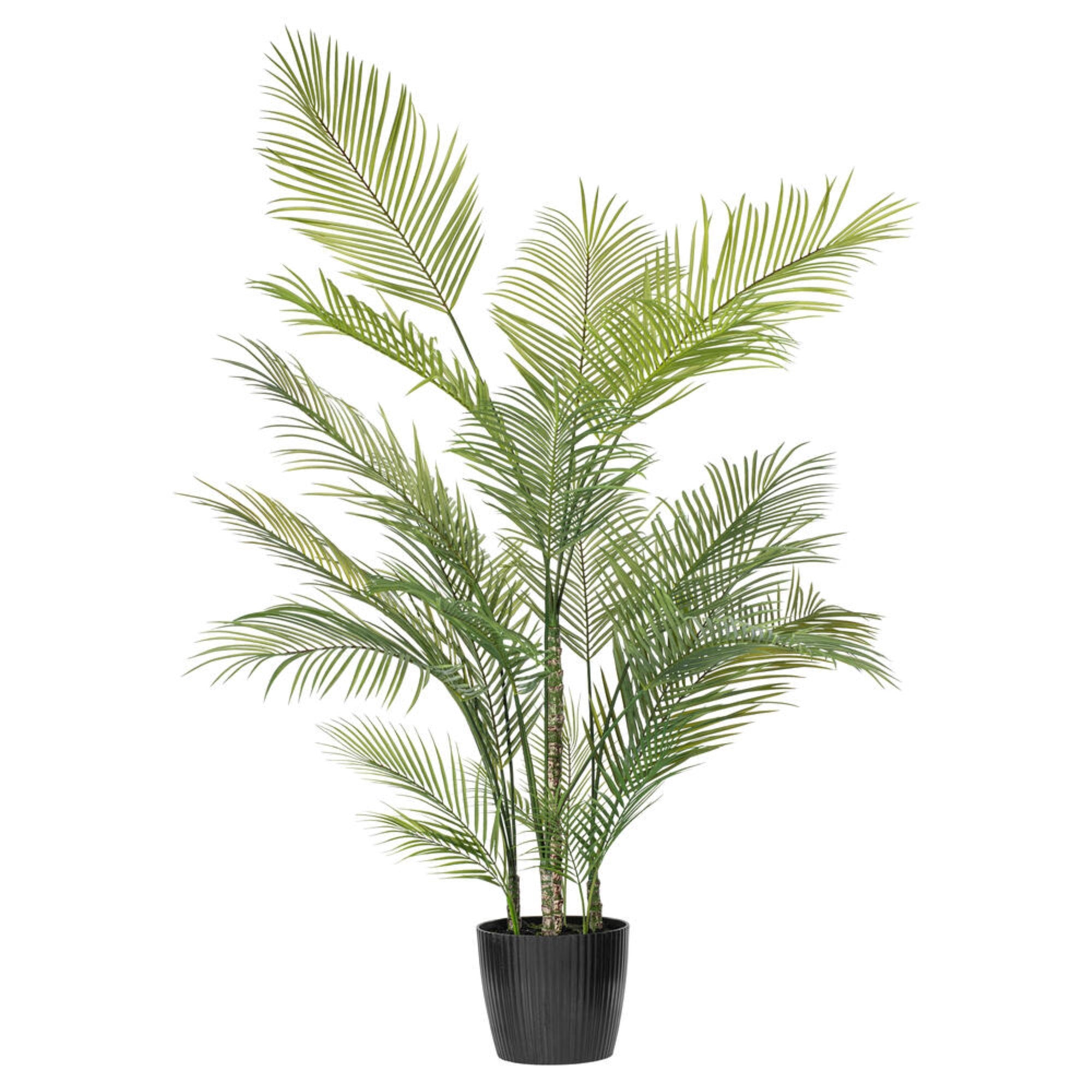 70.5″ Green Areca Palm Plant