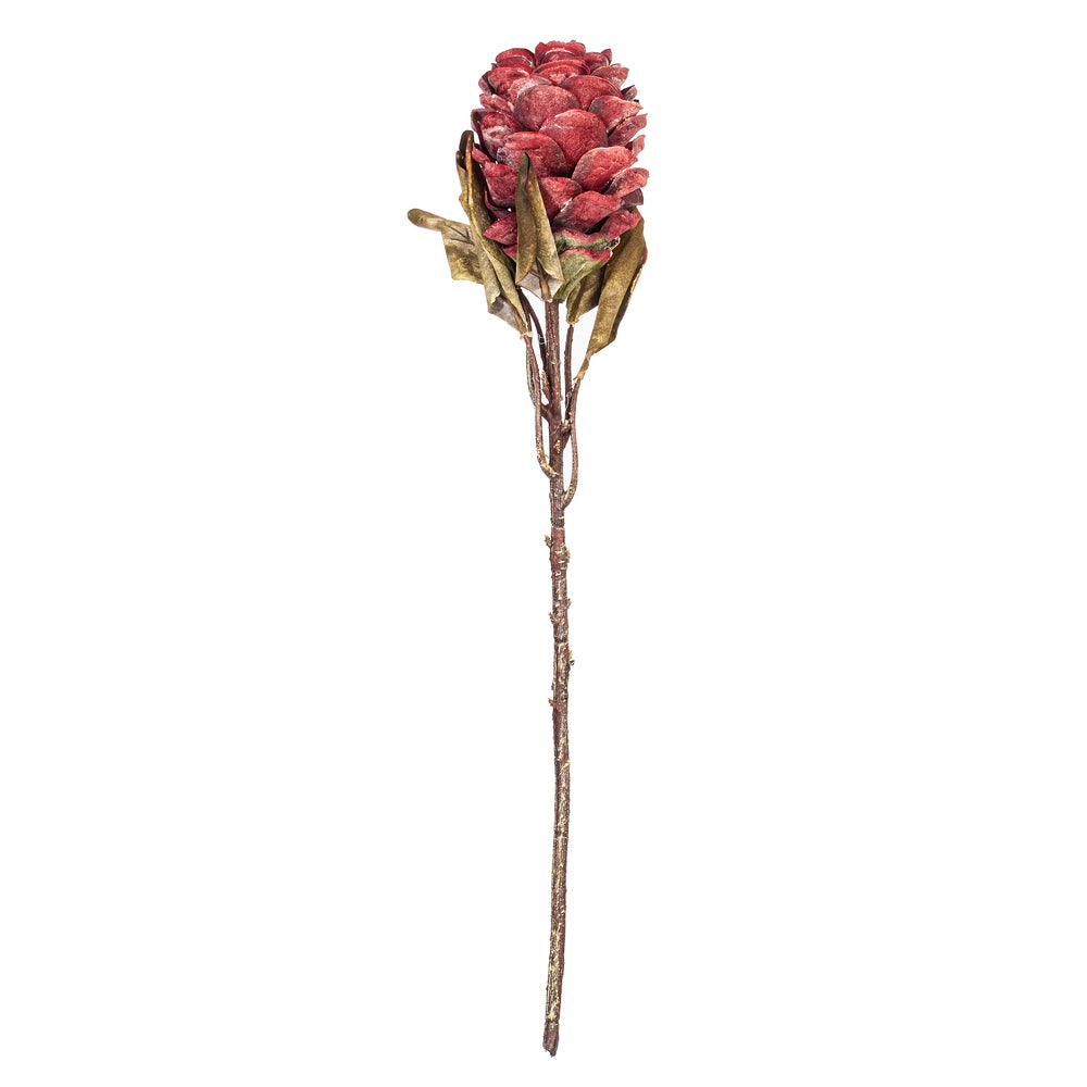 22” Light Red Dried Ginger Stem 3/Bag