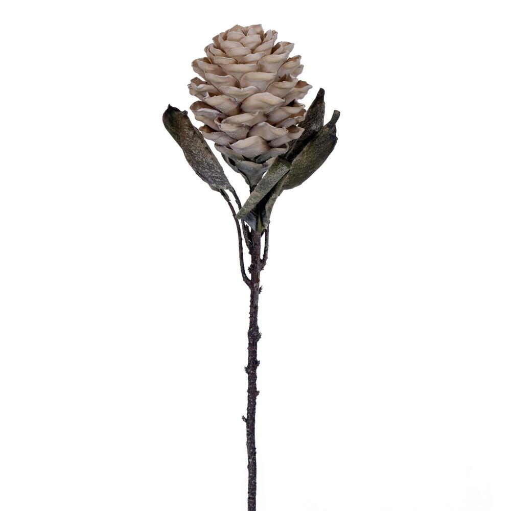 22” Cream Dried Torch Ginger Stem 3/Bag
