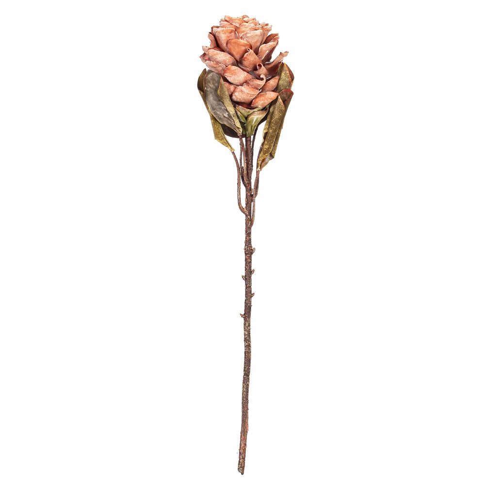 22” Lt Orange Dried Ginger Stem 3/Bag