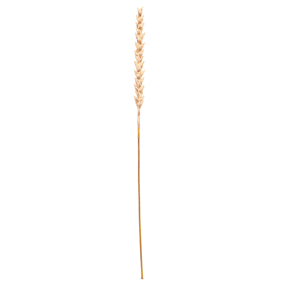 34” Art. Lt Brown Design Polynesian Stem