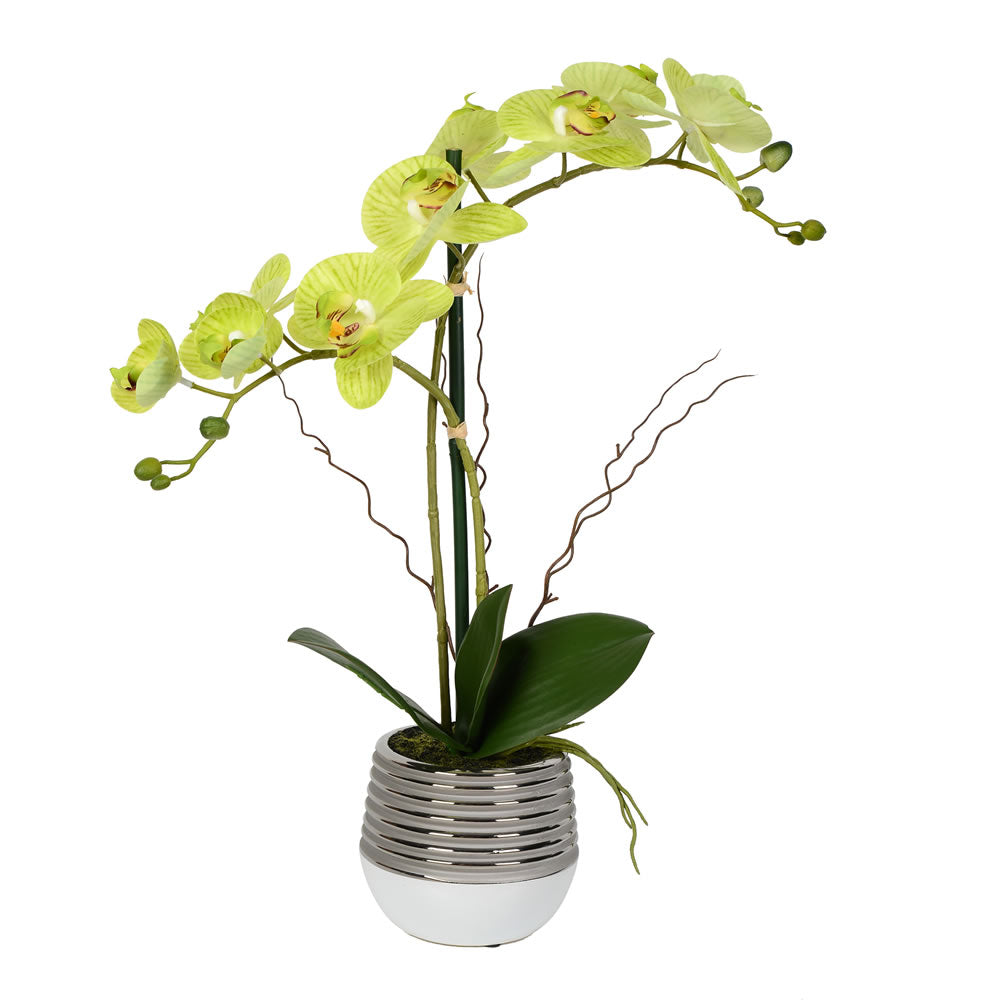 Vickerman 19.5” Green Phalaenopsis in Metal Pot RT - FN180101
