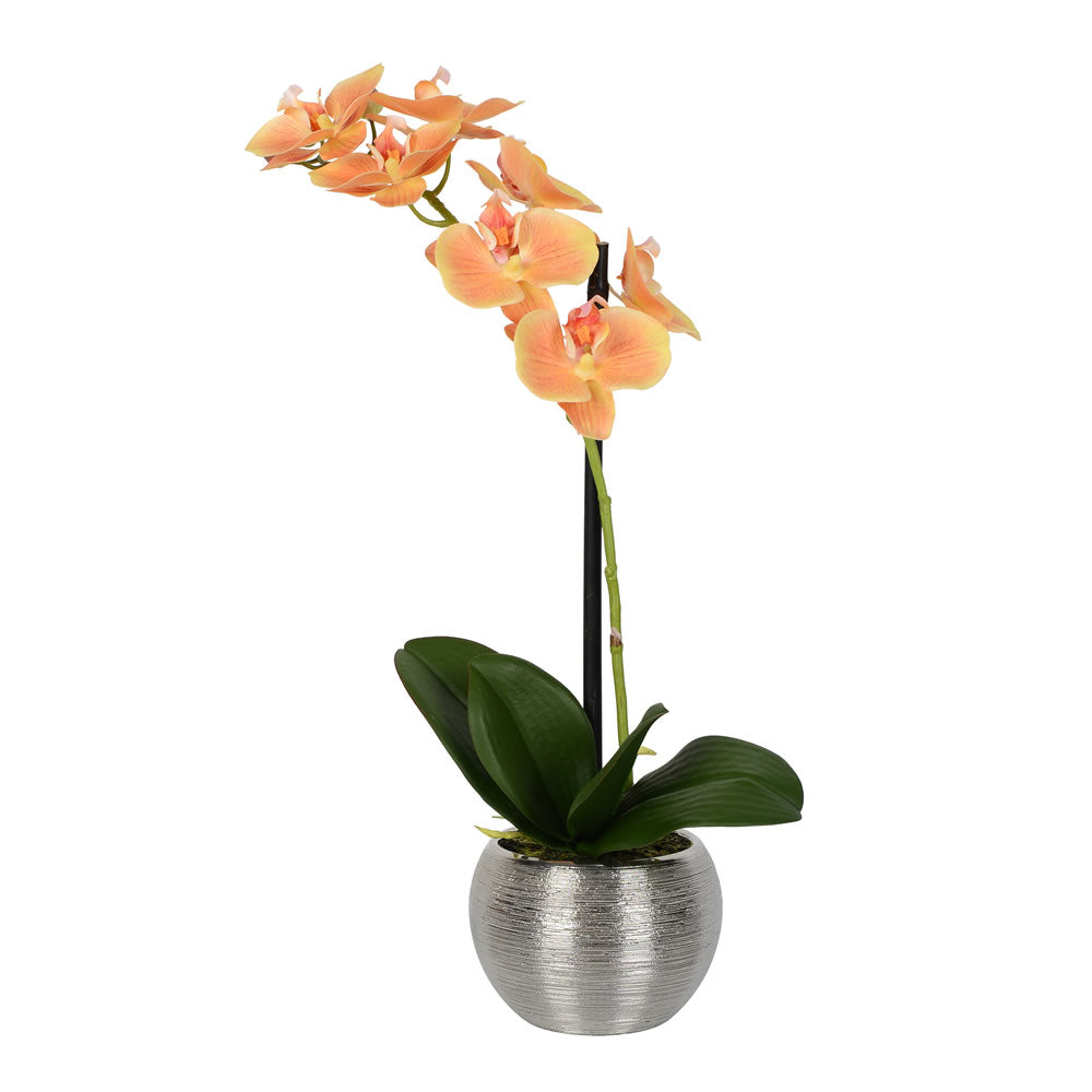 Vickerman 18” Peach Phalaenopsis in Metal Pot RT - FN180401