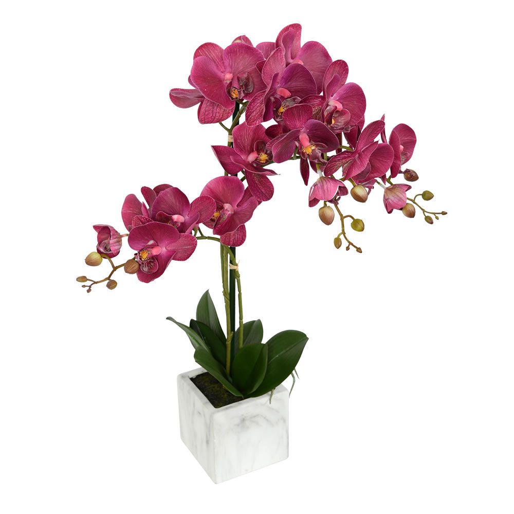 Vickerman 18” Plum Phalaenopsis in Stone Pot RT - FN180601