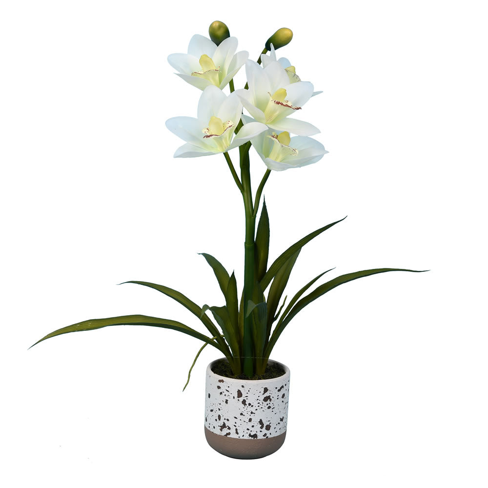Vickerman 19” White Cymidium in Pot Real Touch - FN180701