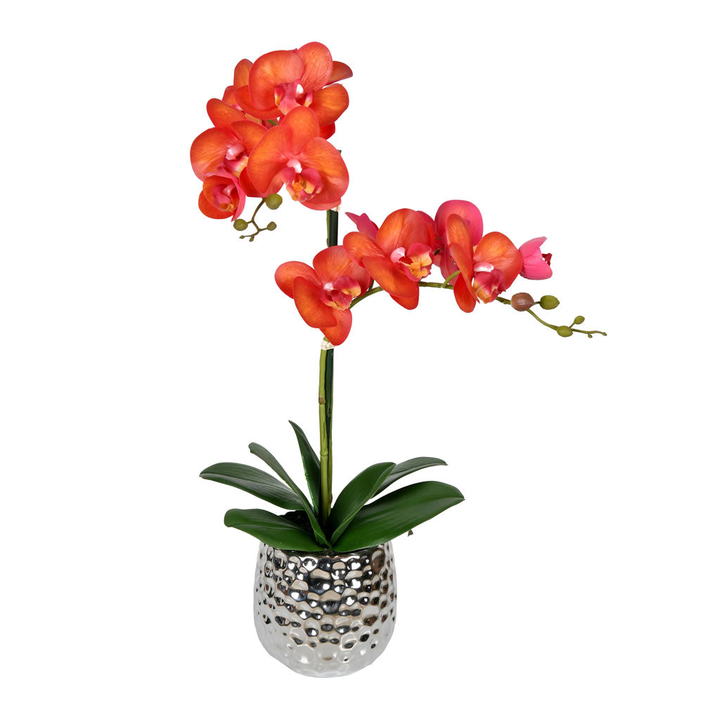 Vickerman 20.5” Orange Phalaenopsis In Pot - FN190101