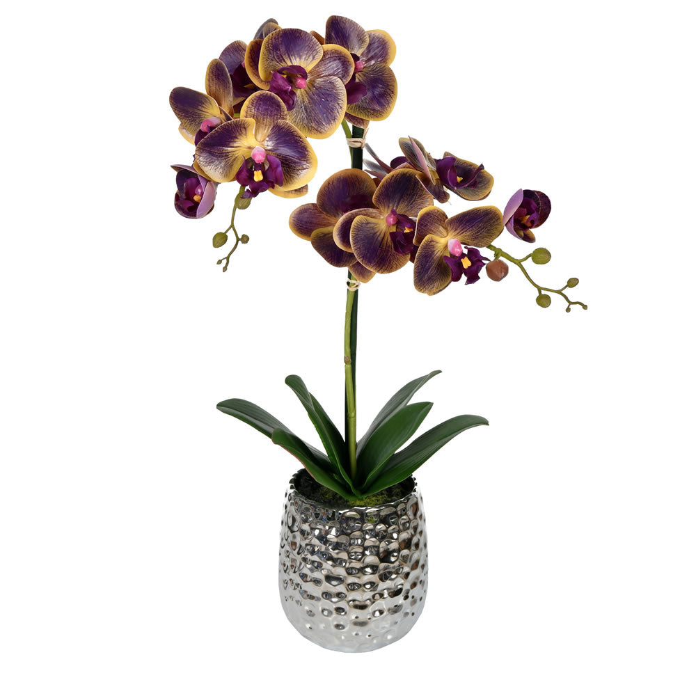 Vickerman 20.5” Purple Phalaenopsis In Pot - FN190102