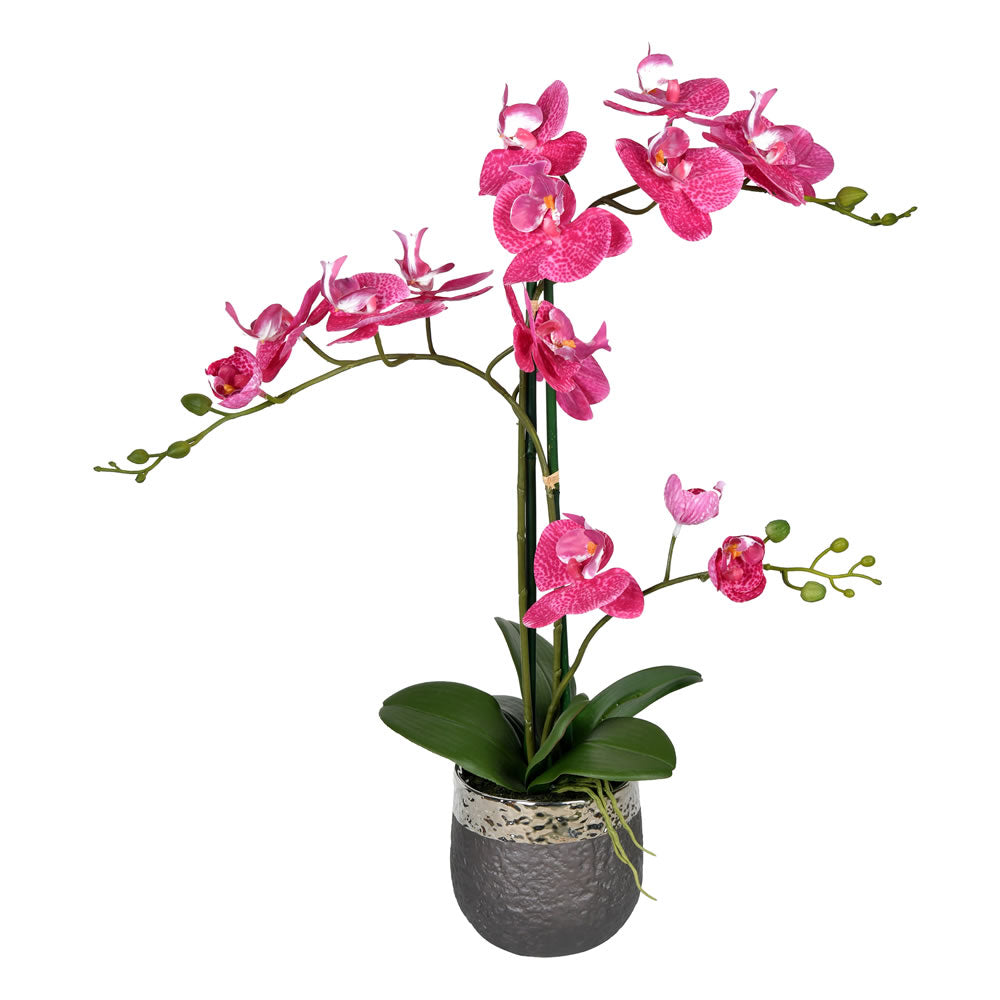 Vickerman 23.5” Mauve Phalaenopsis In Pot - FN190201