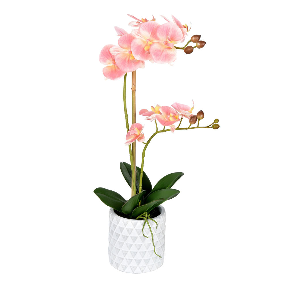Vickerman 21” Pink Phalaenopsis In Pot - FN190302