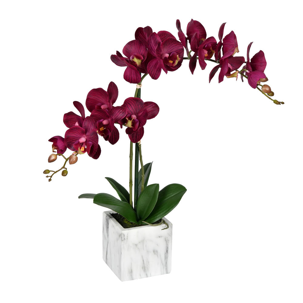 Vickerman 25” Dark Purple Phalaenopsis In Pot - FN190401