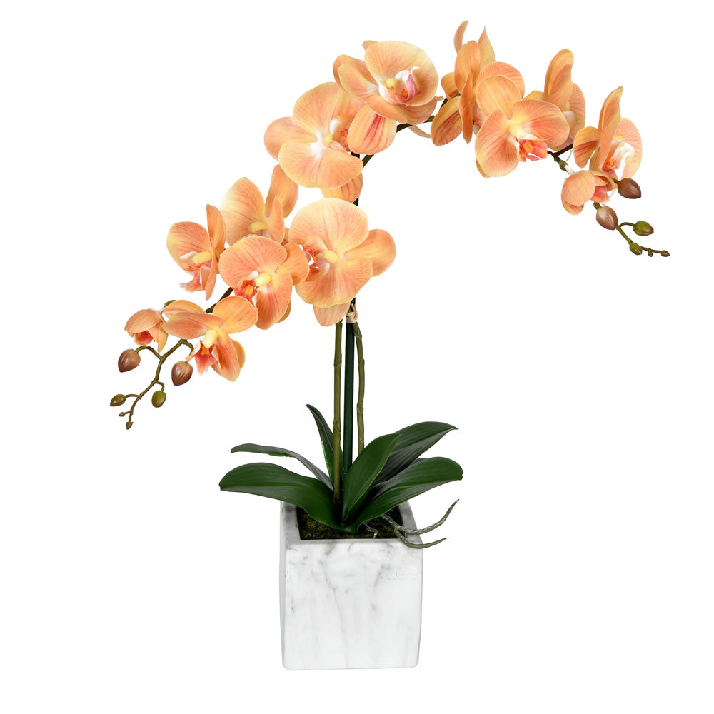 Vickerman 25” Coral Phalaenopsis In Pot - FN190402