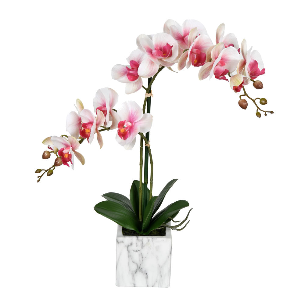 Vickerman 25” Pink White Phalaenopsis In Pot - FN190403