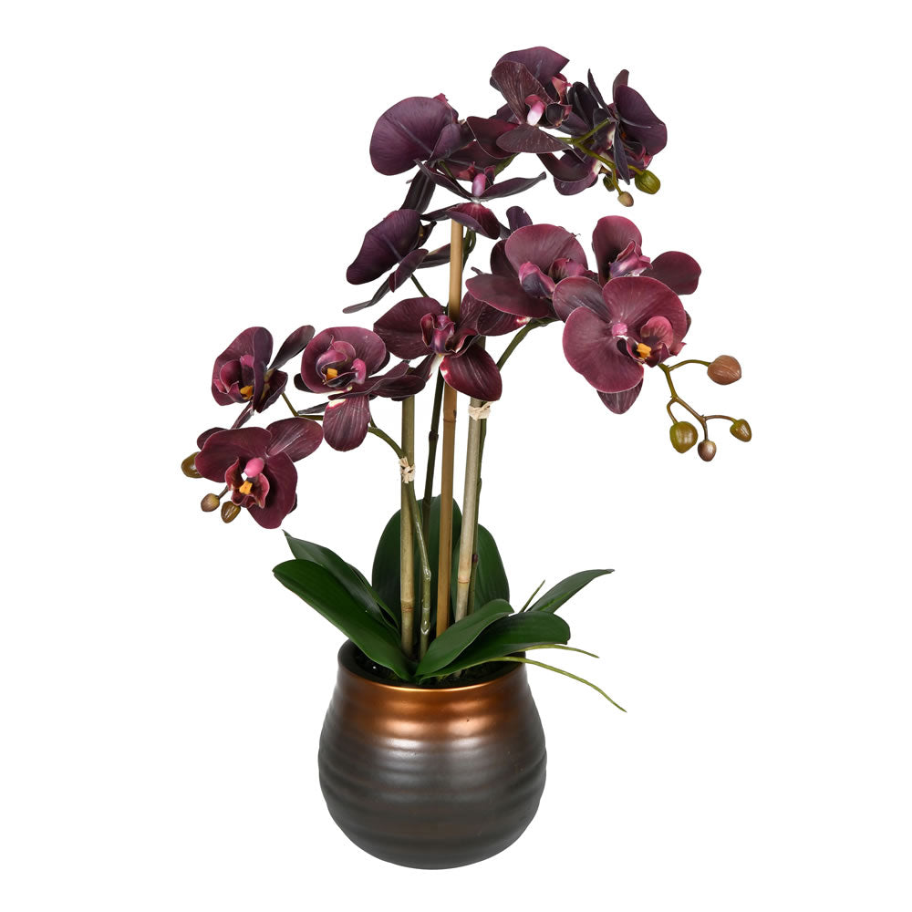 Vickerman 22” Purple Phalaenopsis In Pot - FN190501