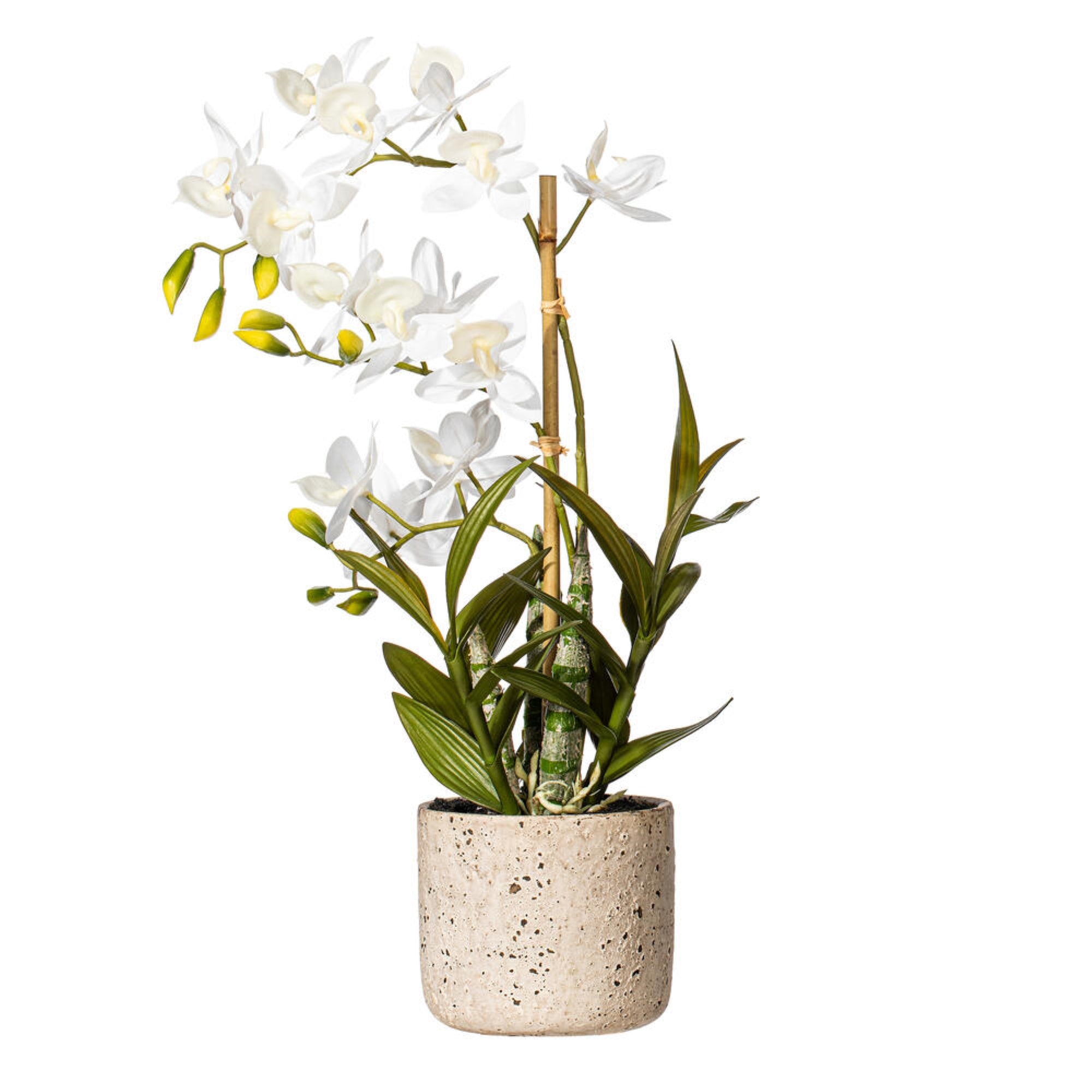 Vickerman 19” Artificial White Deluxe Potted Cycnoches Orchid.