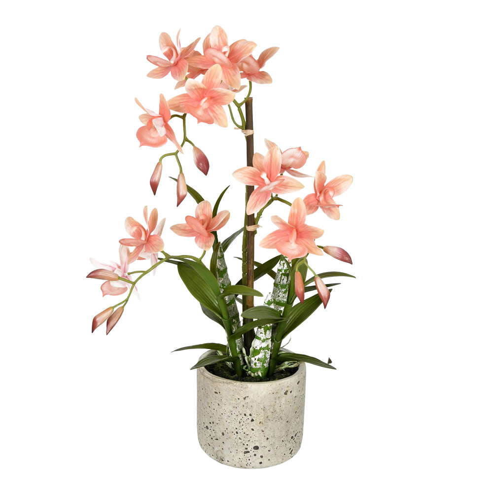 Vickerman 19” Orange Cycnoches in Pot - FN190602