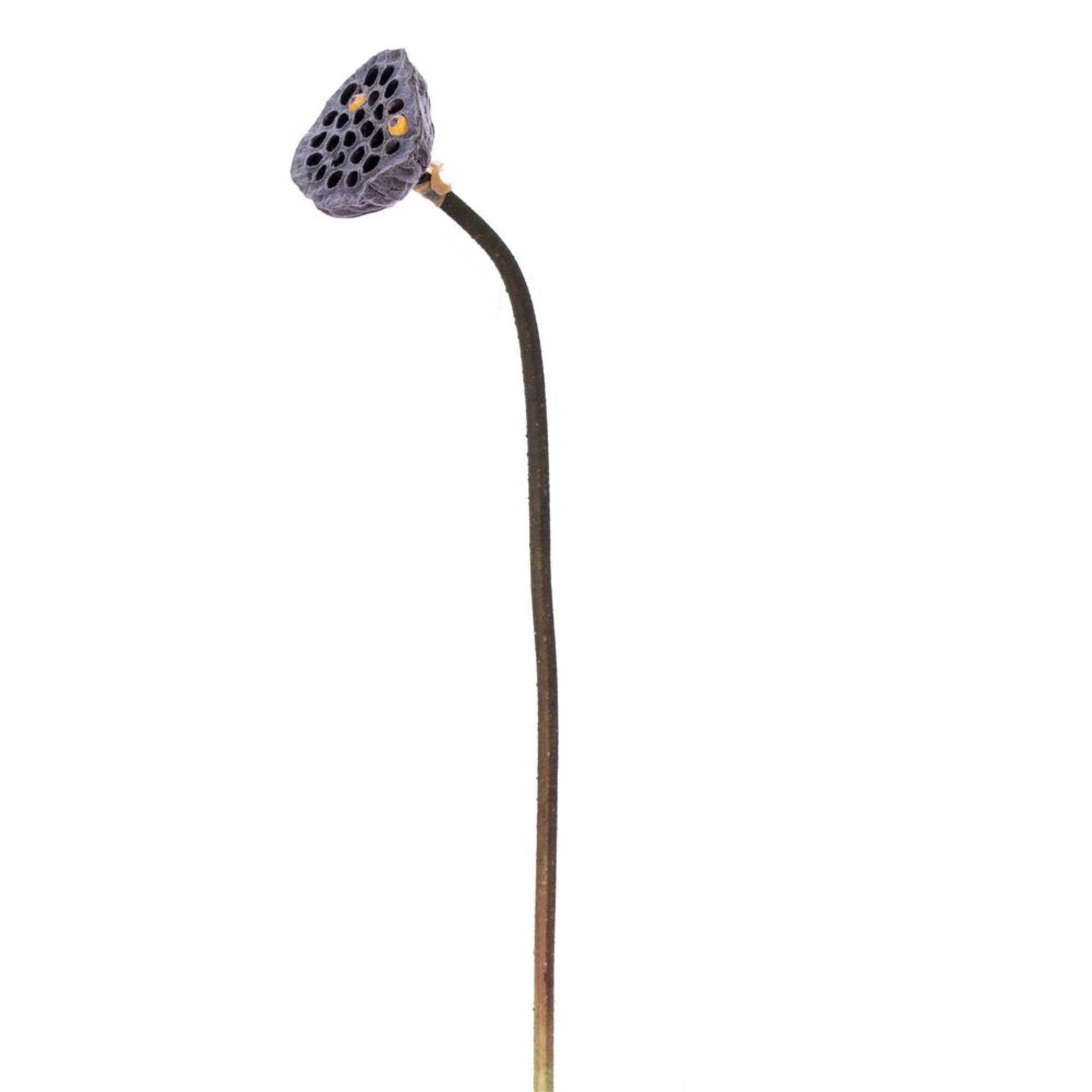 Vickerman 27” Artificial Brown Lotus Pod 4/Bag. Maintenance free pod