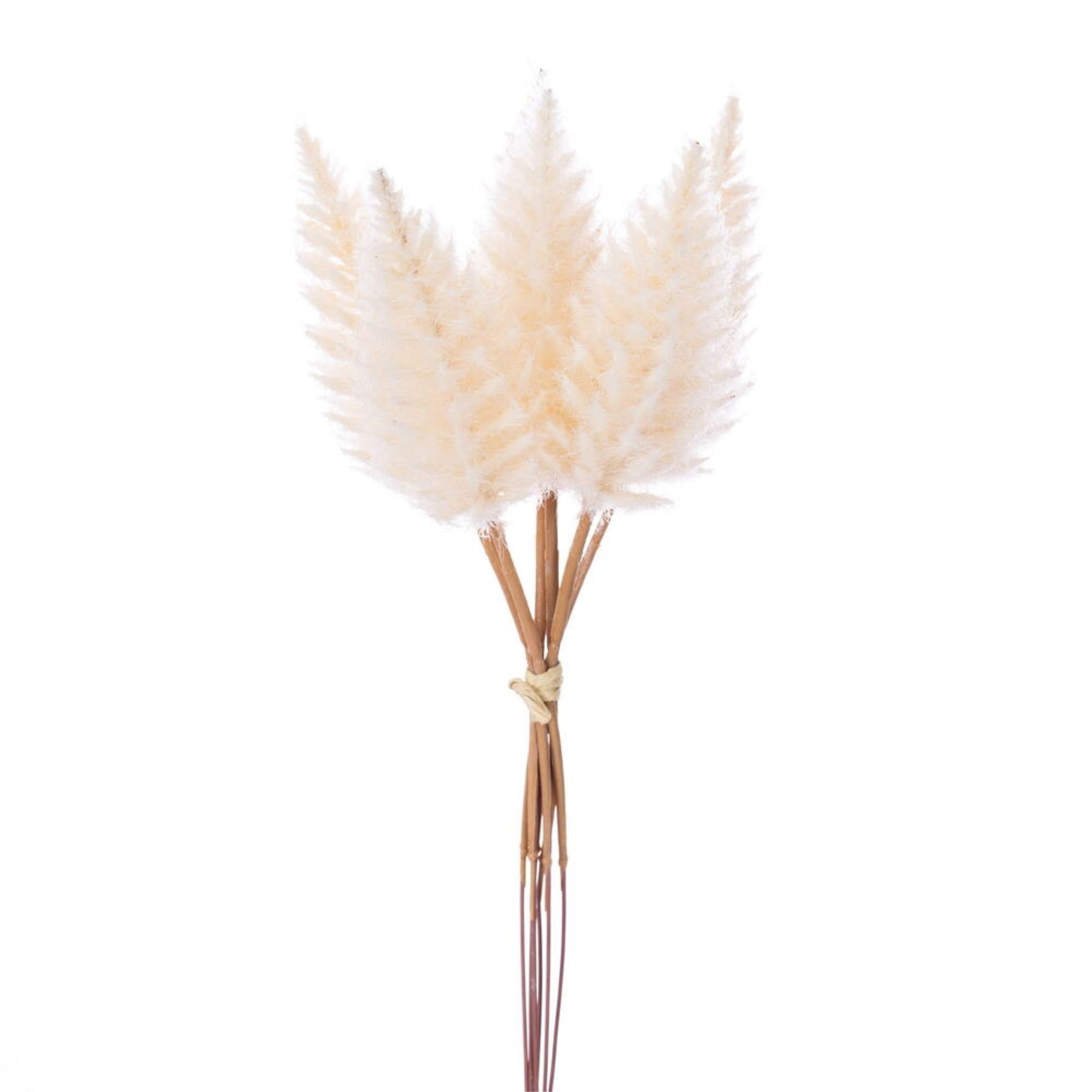 Vickerman 9” Light Cream Celosia Stem 6/Bag. Perfect addition to any decorating project.
