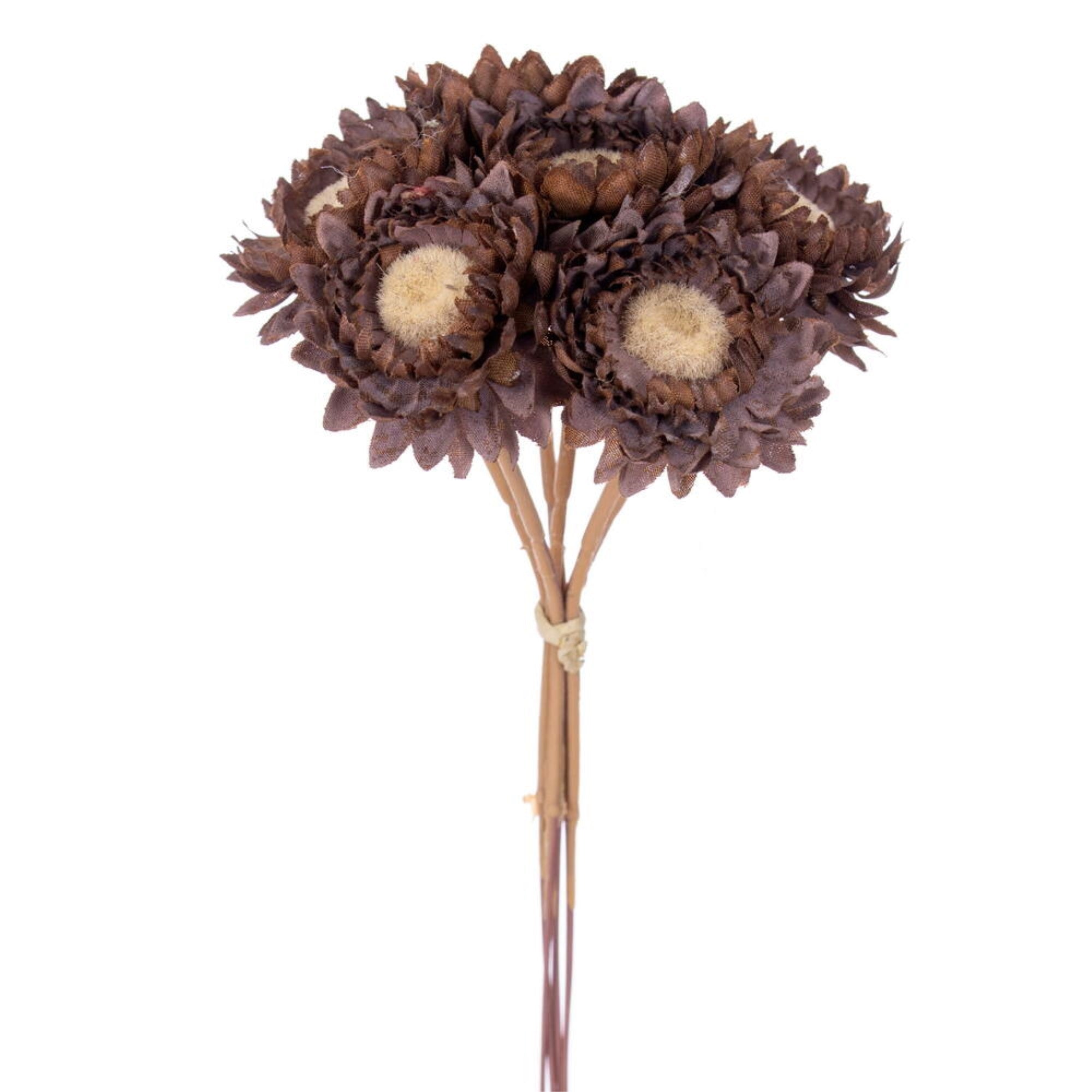 Vickerman 7” Dark Brown Artificial Daisy Strawflower Stem 6/Bag. Perfect addition to any decorating project